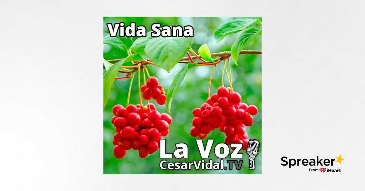 Vida Sana La Schizandra Una Joya Escondida