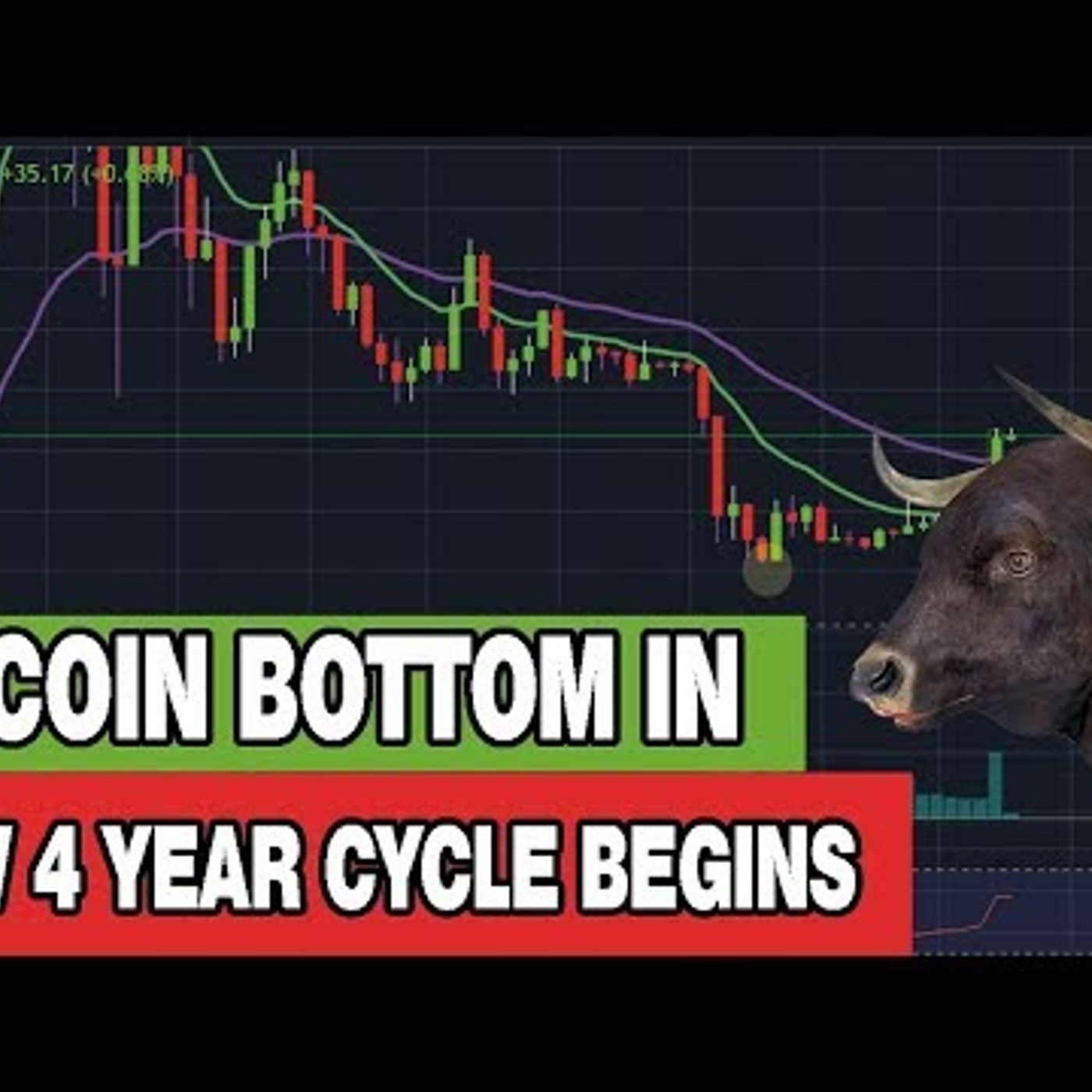 Bitcoin Bottom Is In - New 4 Year Cycle Begins - What To Expect From Here
