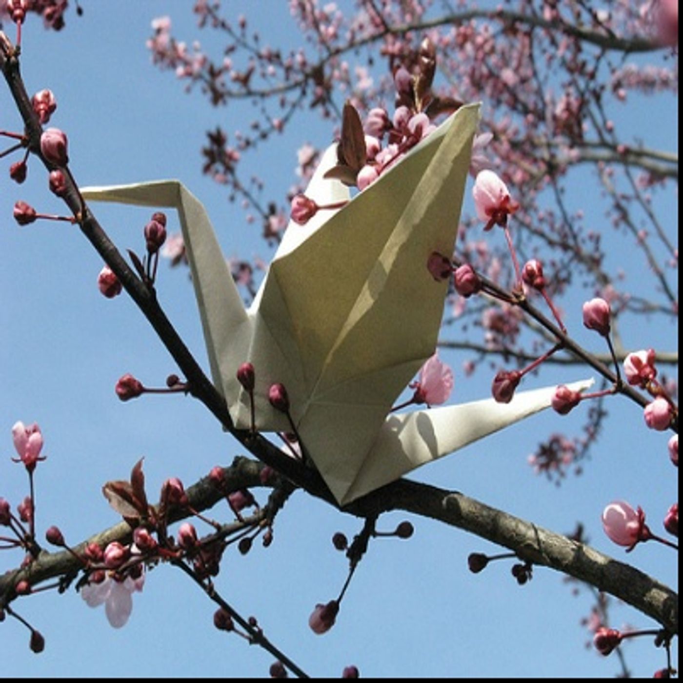 L'antica e delicata Arte dell'ORIGAMI L'antica e delicata Arte dell'ORIGAMI