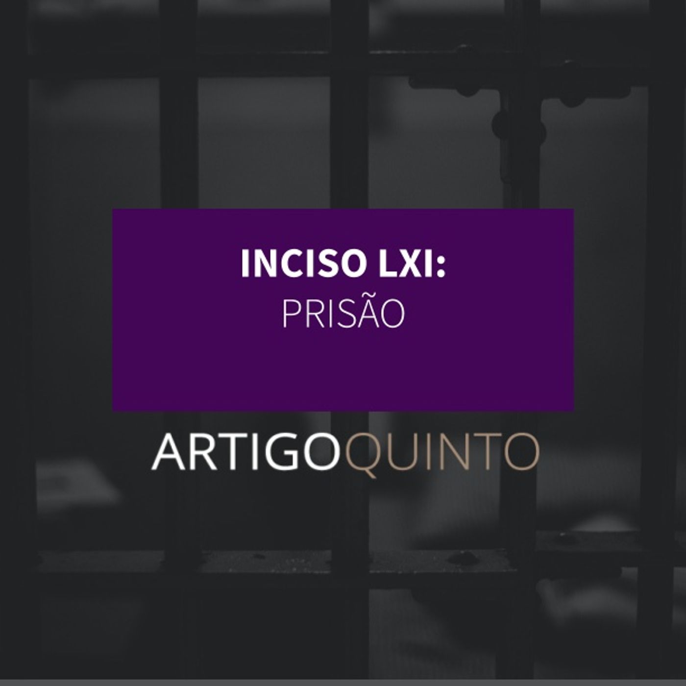 Inciso LXI - Prisão