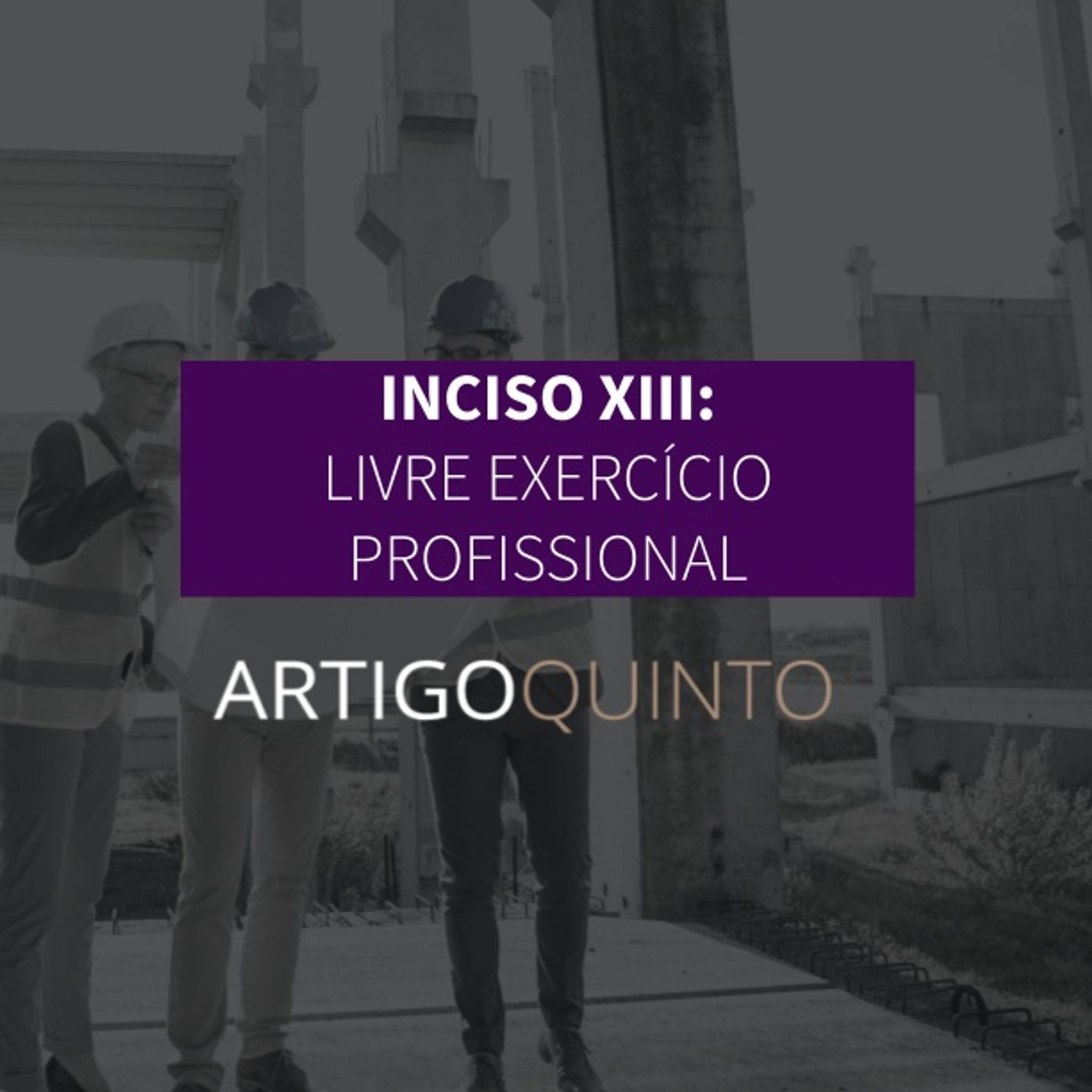 Inciso XIII: Livre Exercício Profissional - Artigo 5º