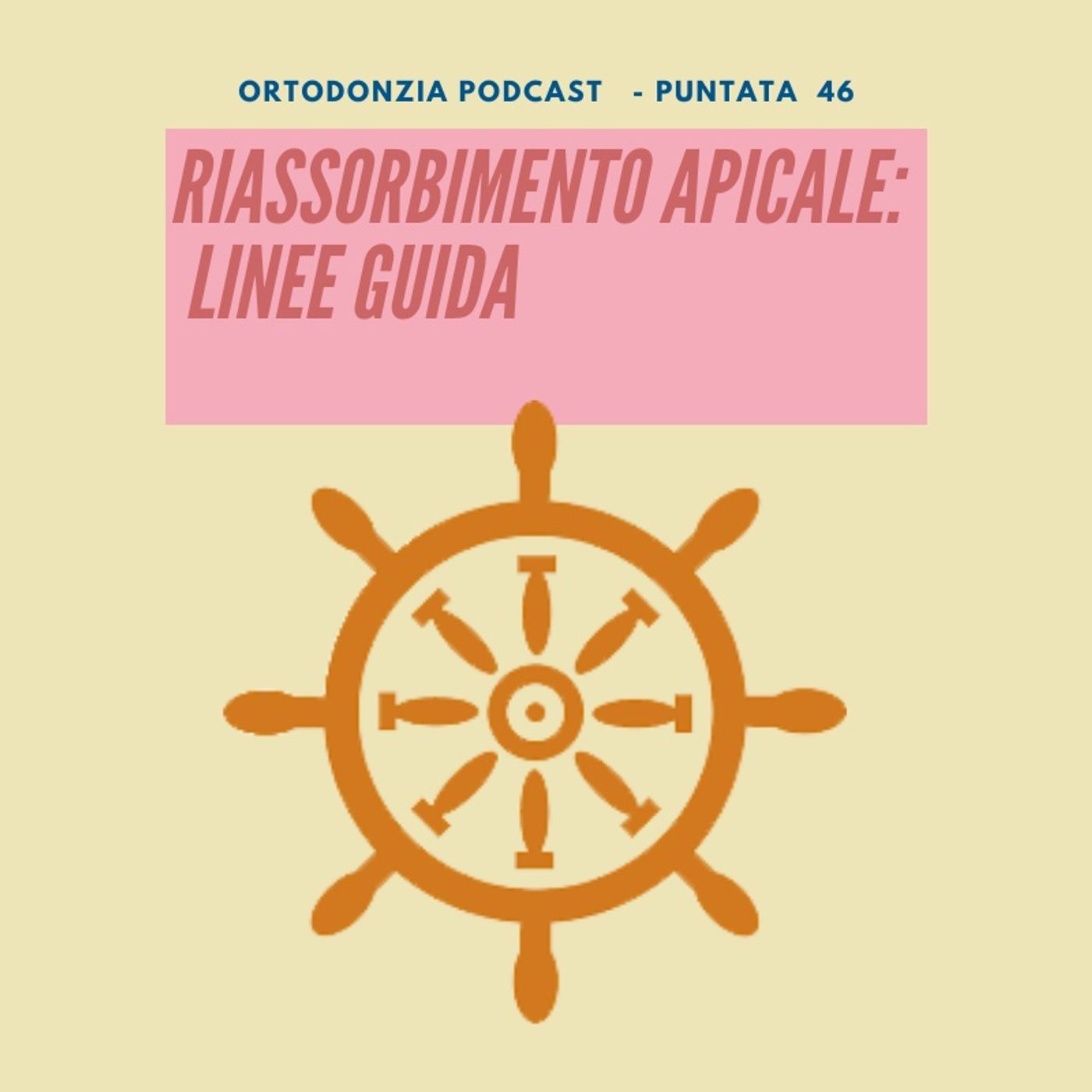Riassorbimento apicale esterno: linee guida