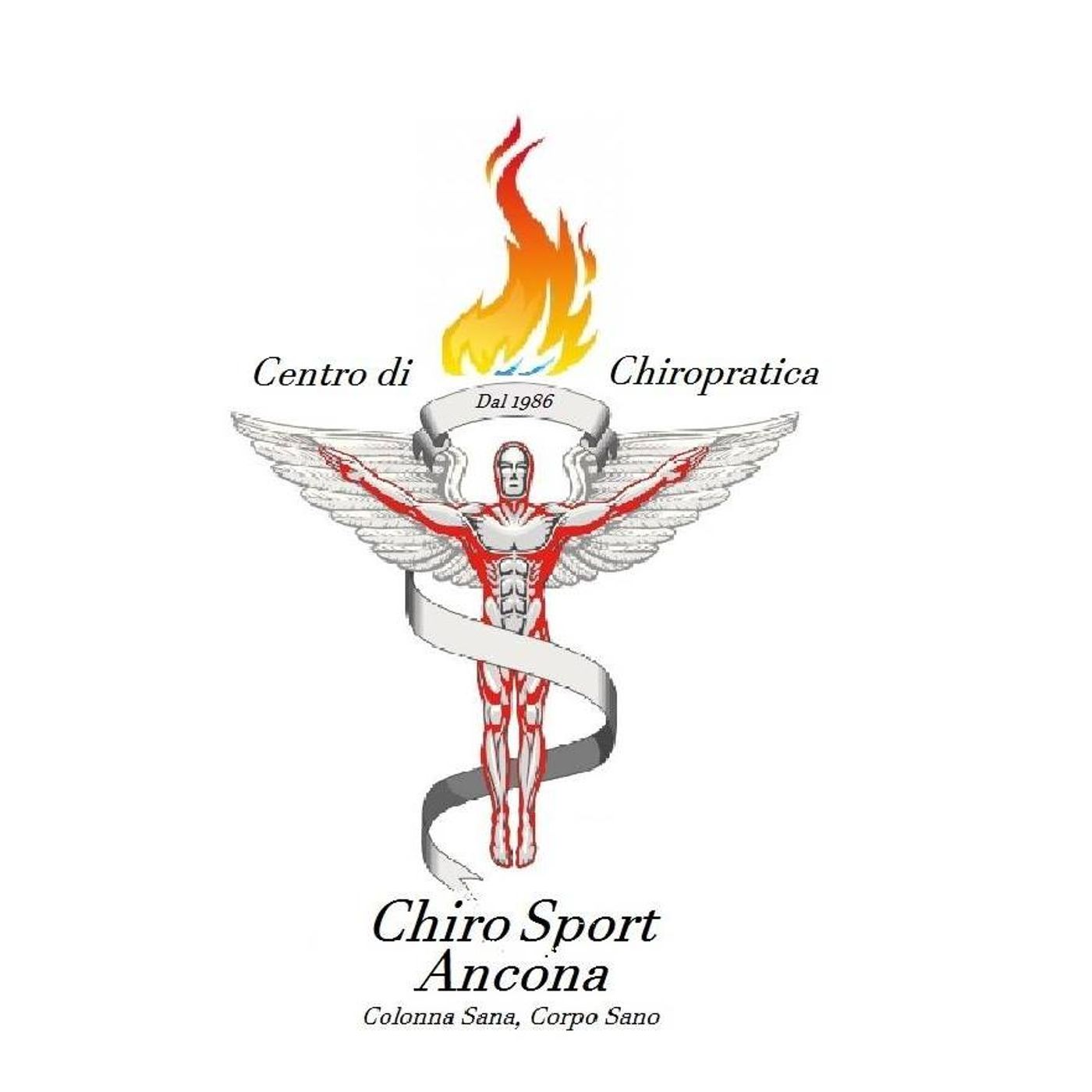 La Danza e La Chiropratica | 2 Parte