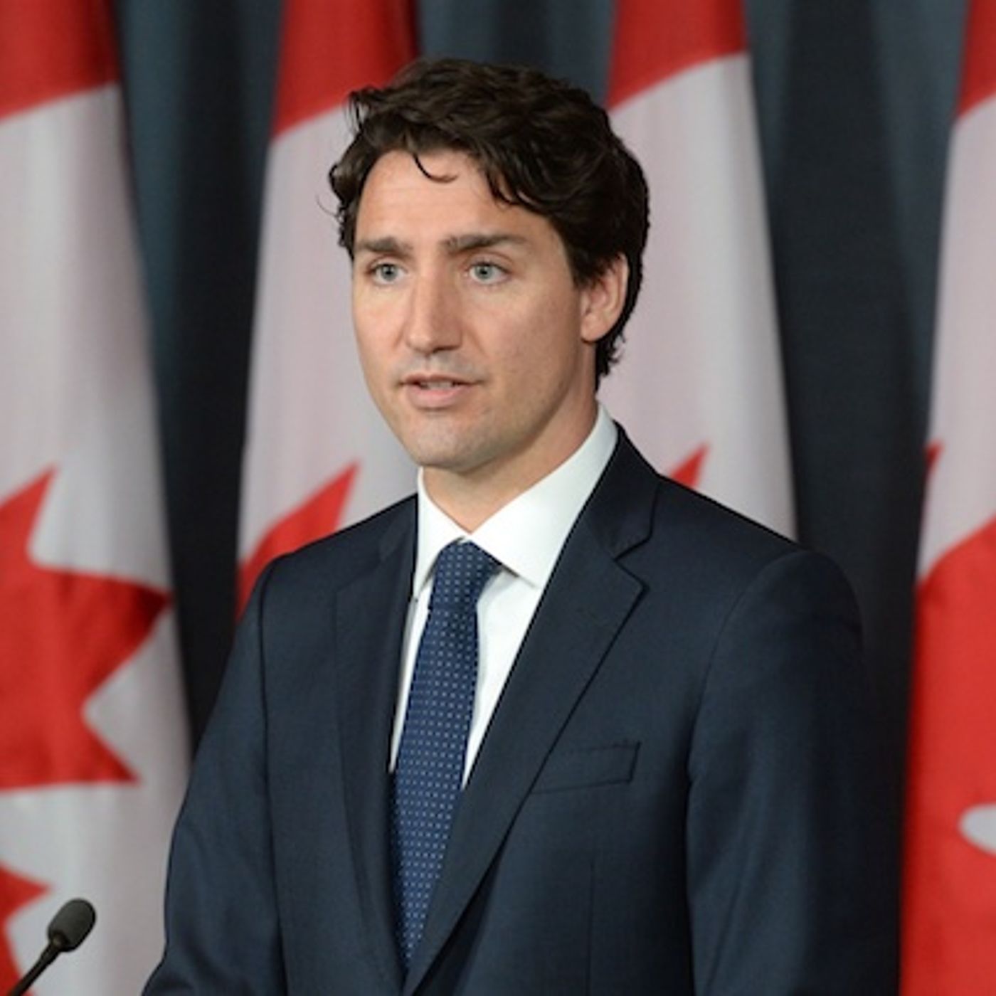 Morning minute Trudeau Apology tour 'Sorry I'm screwing you Canada Jan 11 2017