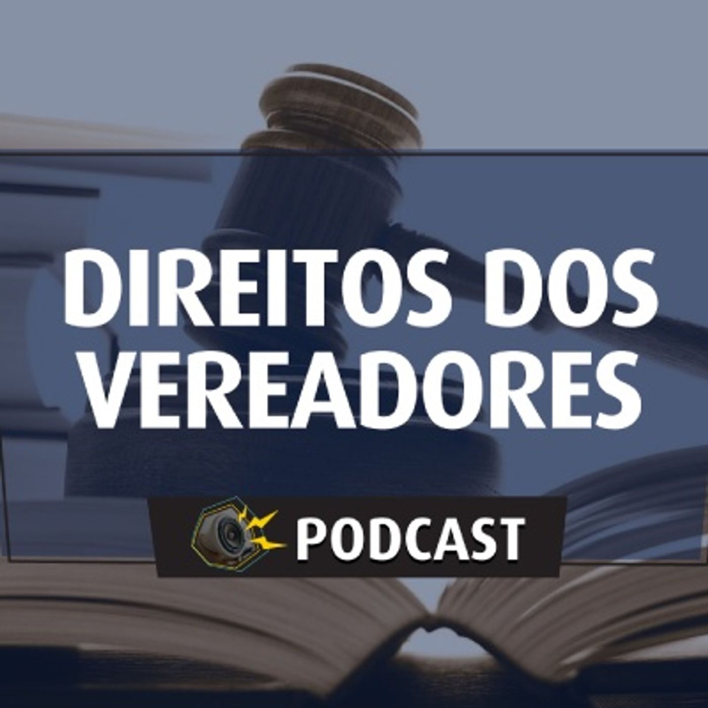#013 - Direitos dos Vereadores