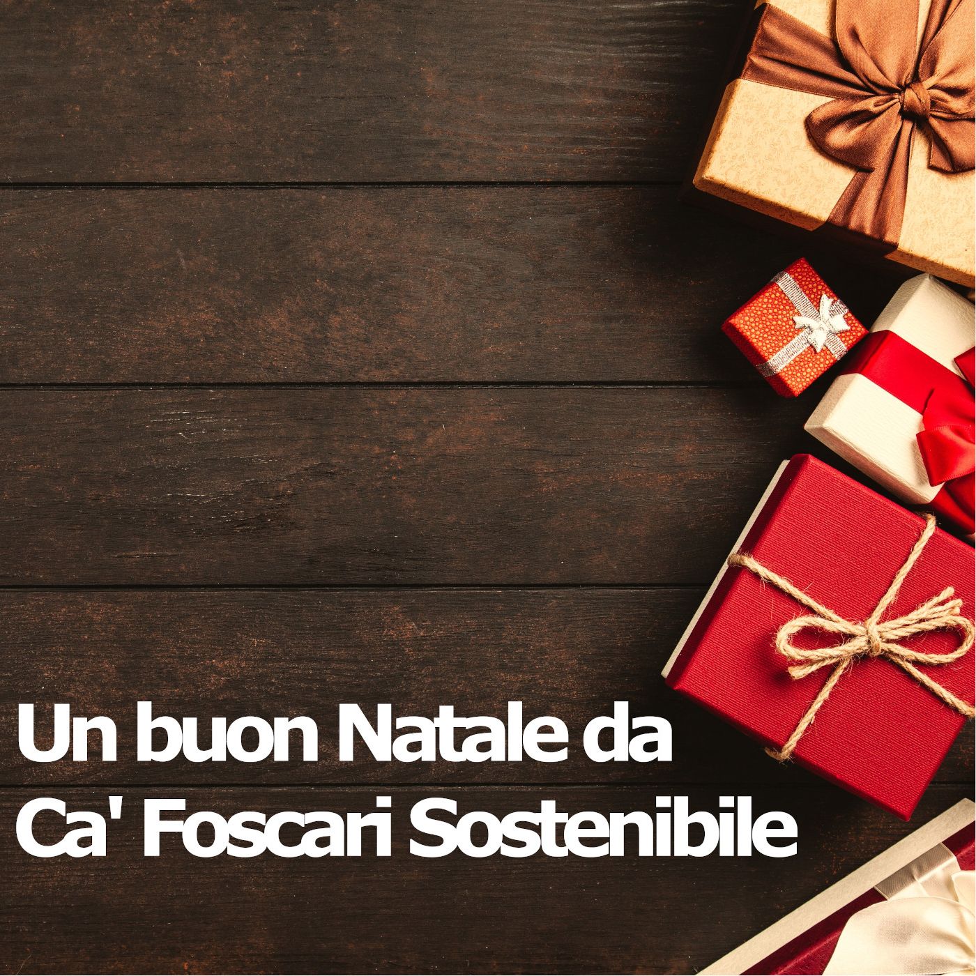 Ca' Foscari ecologica (per un Natale sostenibile)