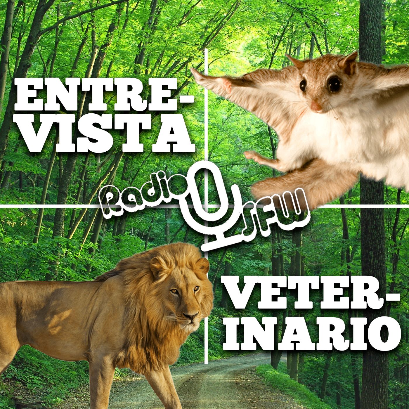 RSFW #13.- Entrevista a un Veterinario