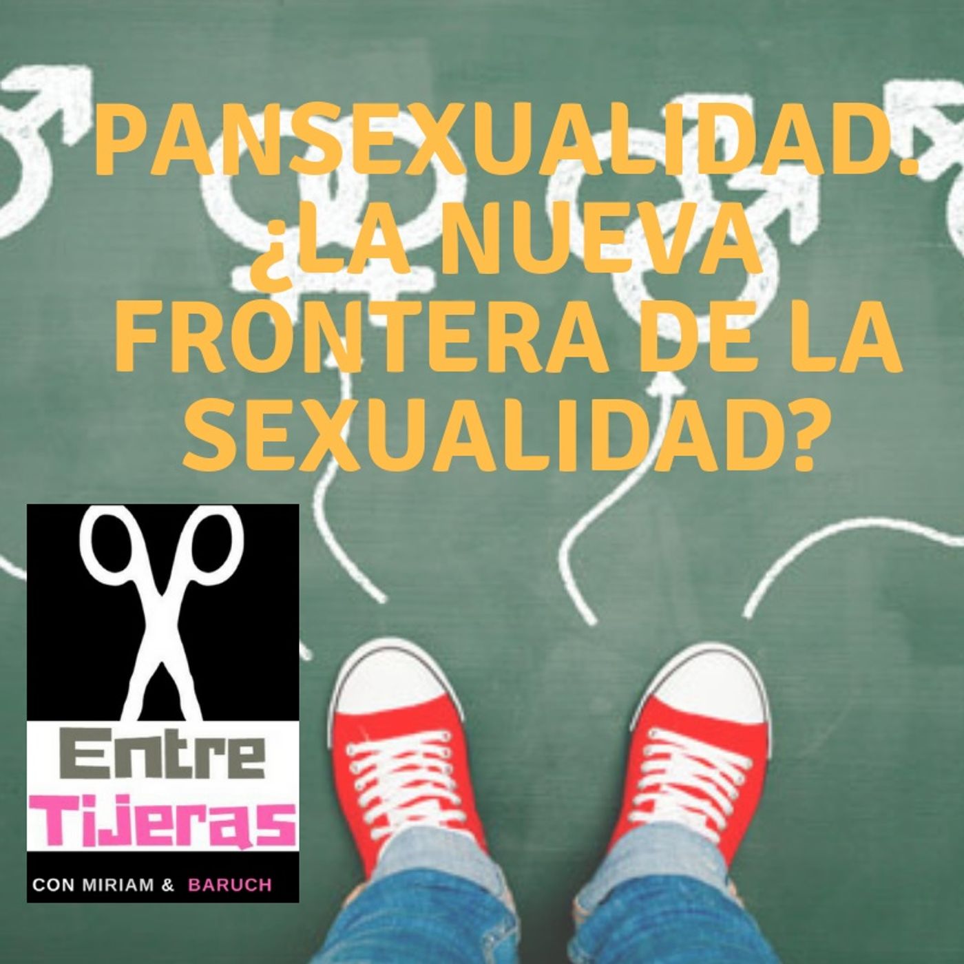 Pansexualidad