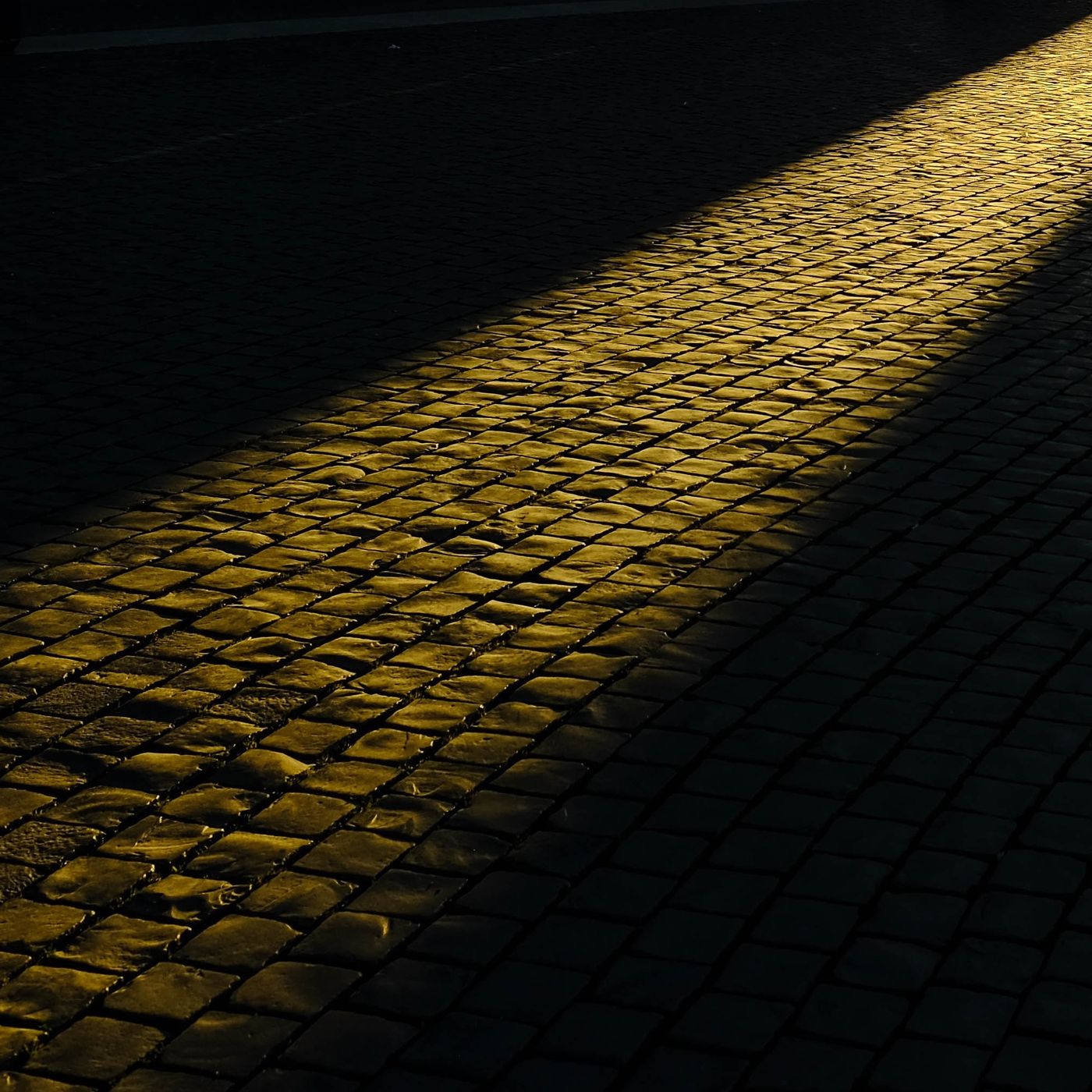 The Paths of Return : Meditation