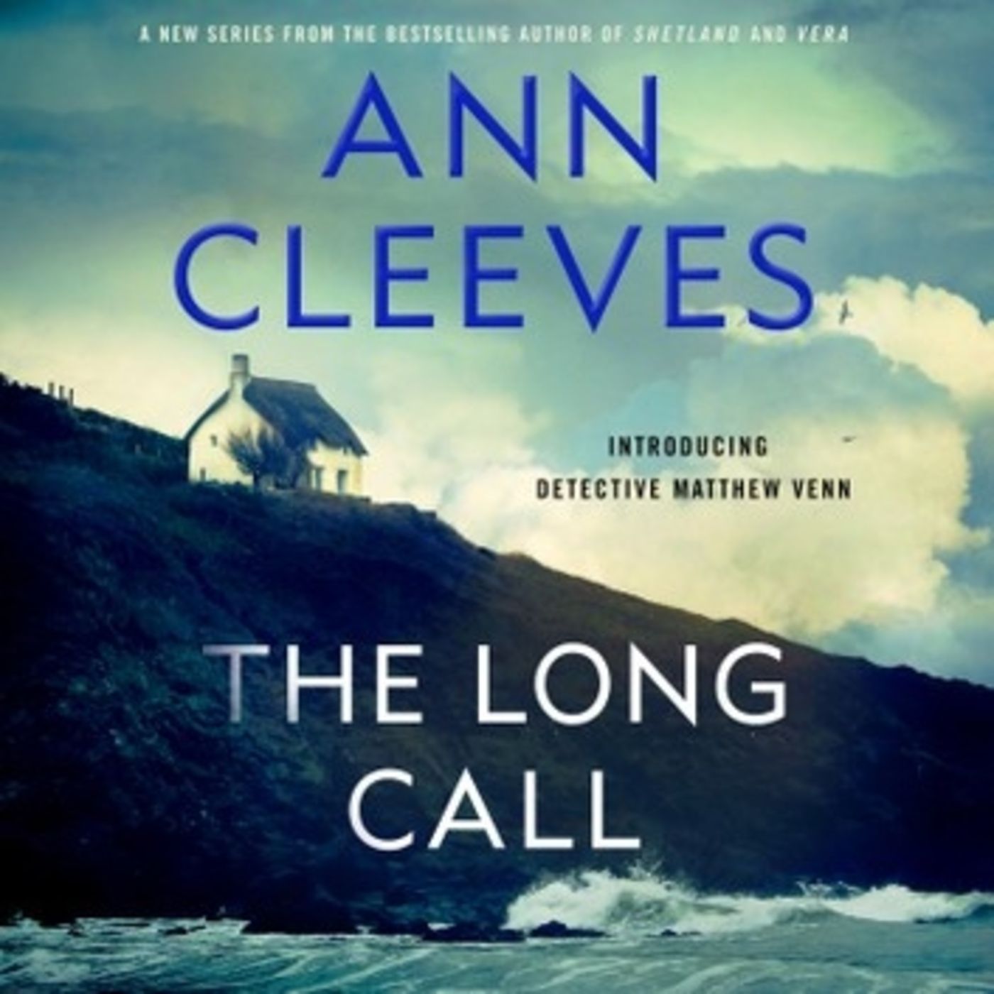 the long call by ann cleeves
