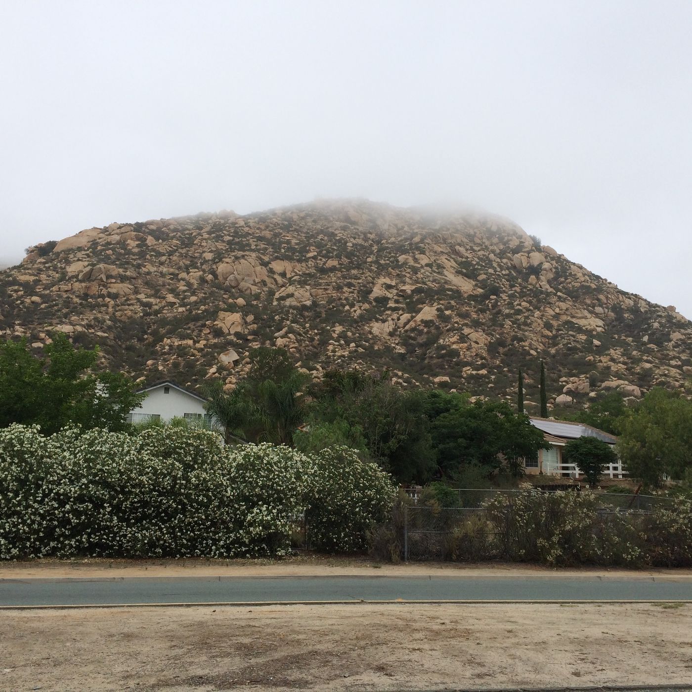 6 Miles In The Fog