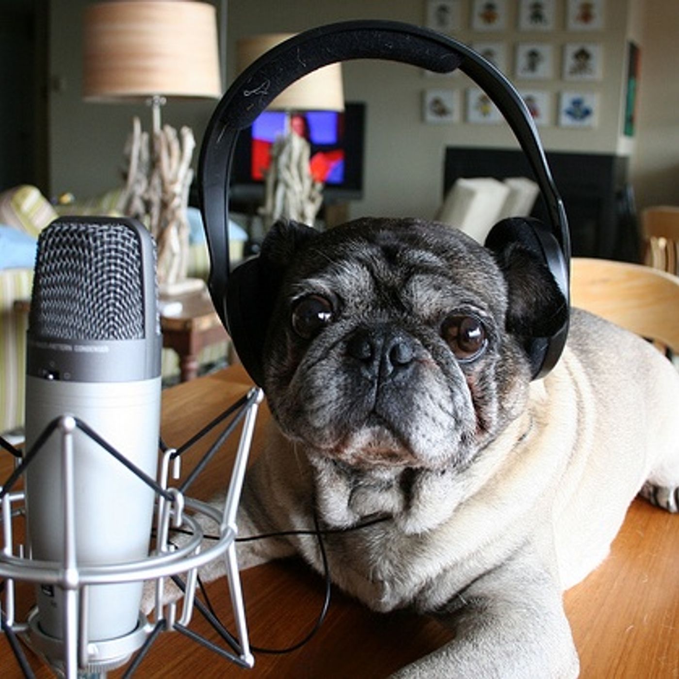 Podcast 25 - Para el nuevo podcaster ;)