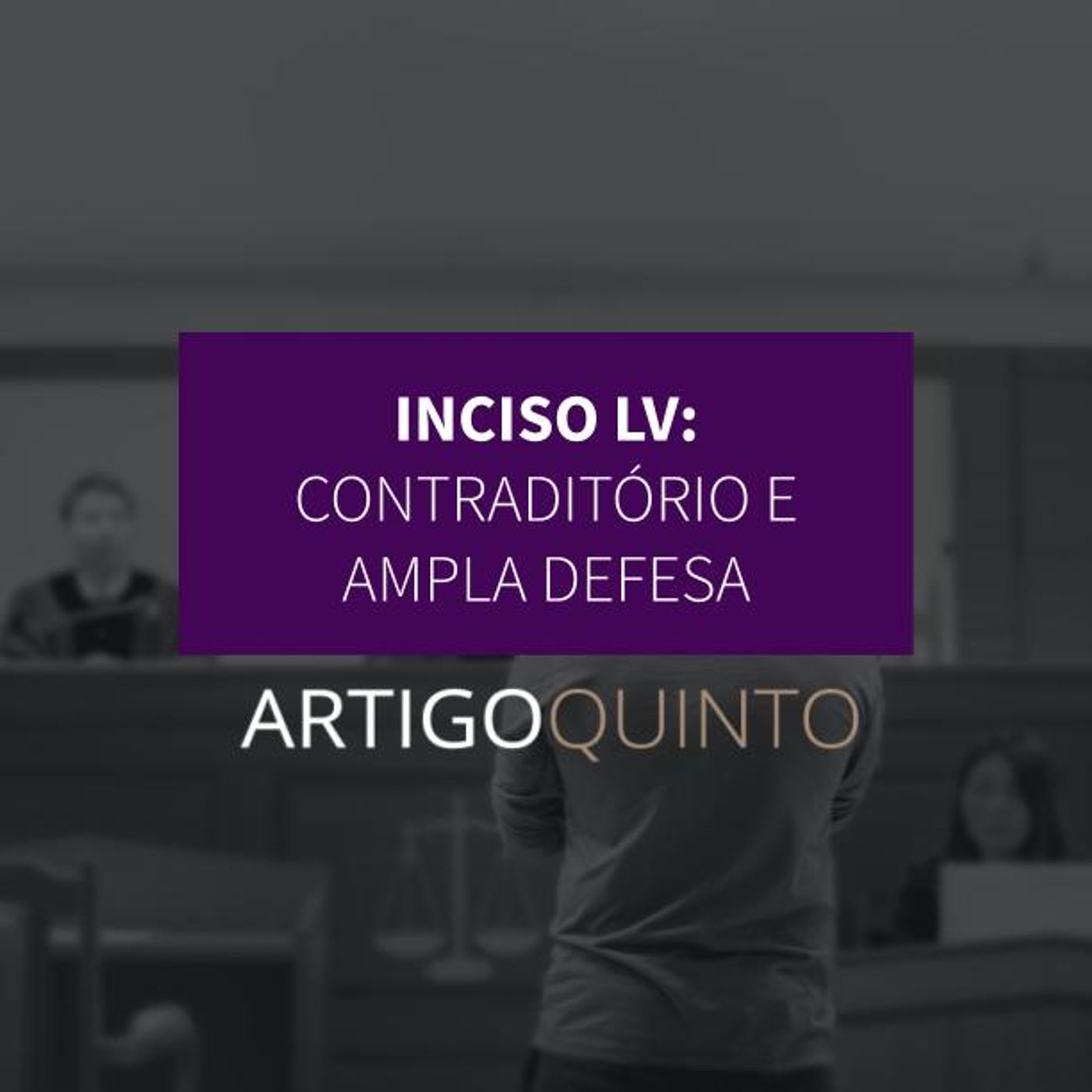Inciso LV - Contraditório e Ampla Defesa
