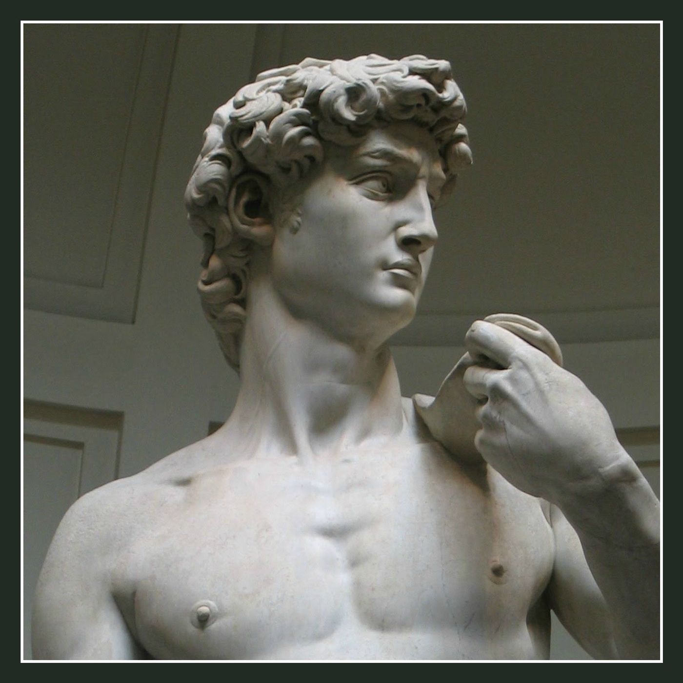 IL DAVID DI MICHELANGELO: UN RAGAZZONE MARMOREO CON UNA STORIA TRAVAGLIATA IL DAVID DI MICHELANGELO: UN RAGAZZONE MARMOREO CON UNA STORIA TRAVAGLIATA
