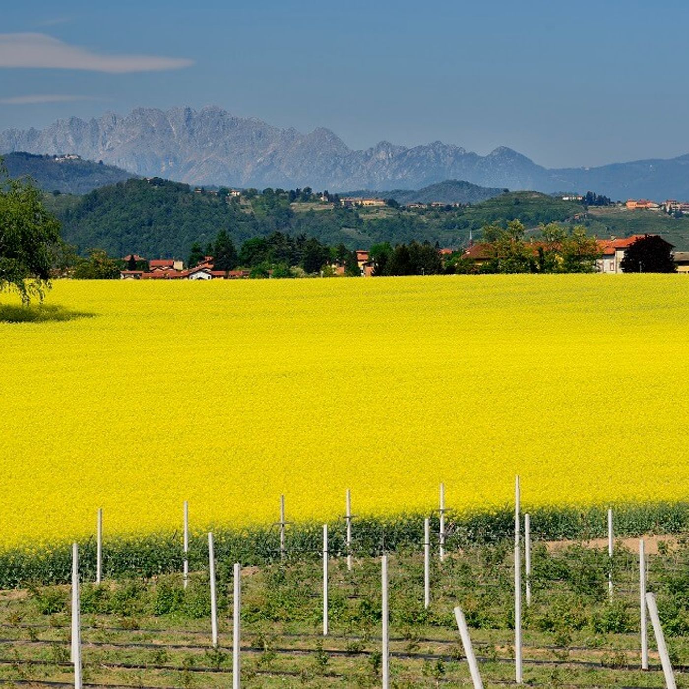 Ambiente, paesaggio, territorio