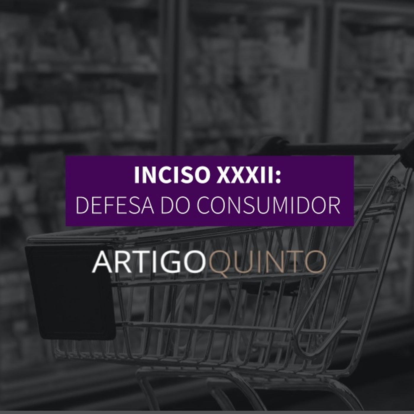 Inciso XXXII: Defesa do Consumidor - Artigo 5º