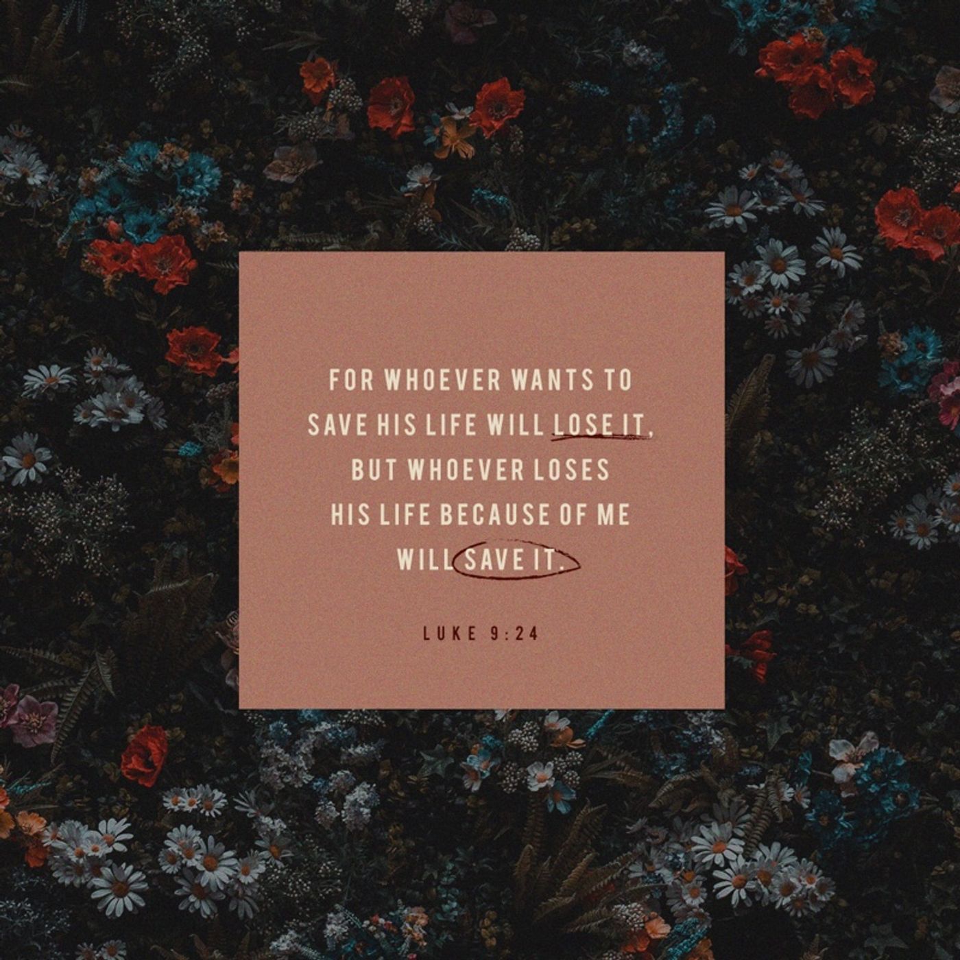 Luke 9:24 - October 4, 2019