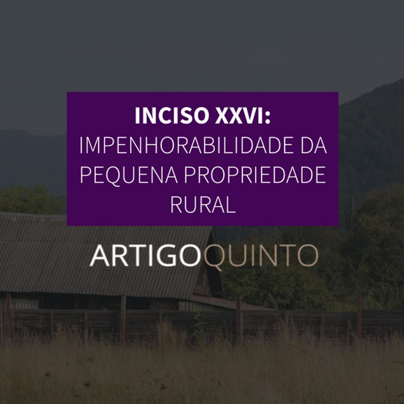 Inciso XXVI: Impenhorabilidade da Pequena Propriedade Rural - Artigo 5º