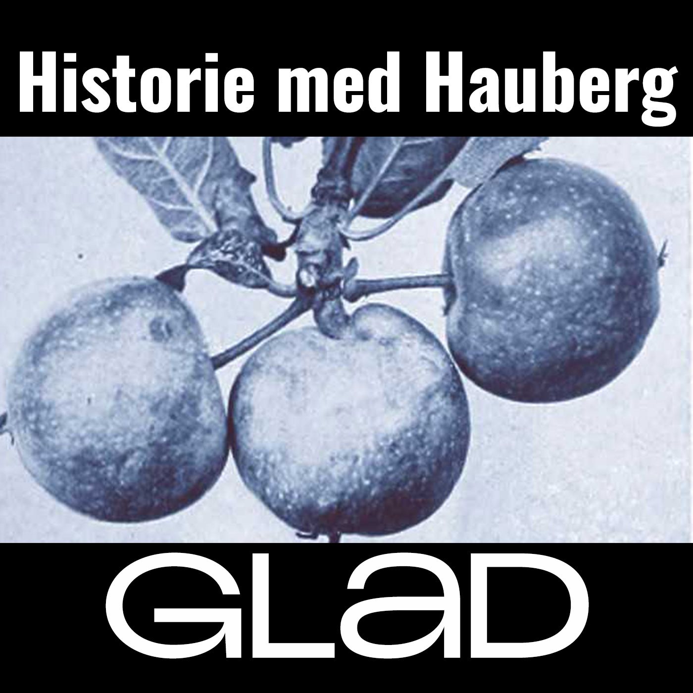 Historie med Hauberg