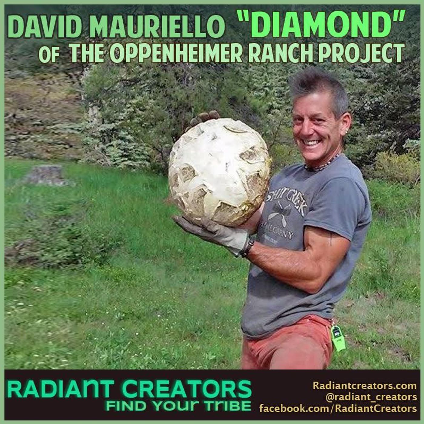 David Mauriello A.K.A. Diamond From Oppenheimer Ranch - Take Back Your Life & Cosmic Resets