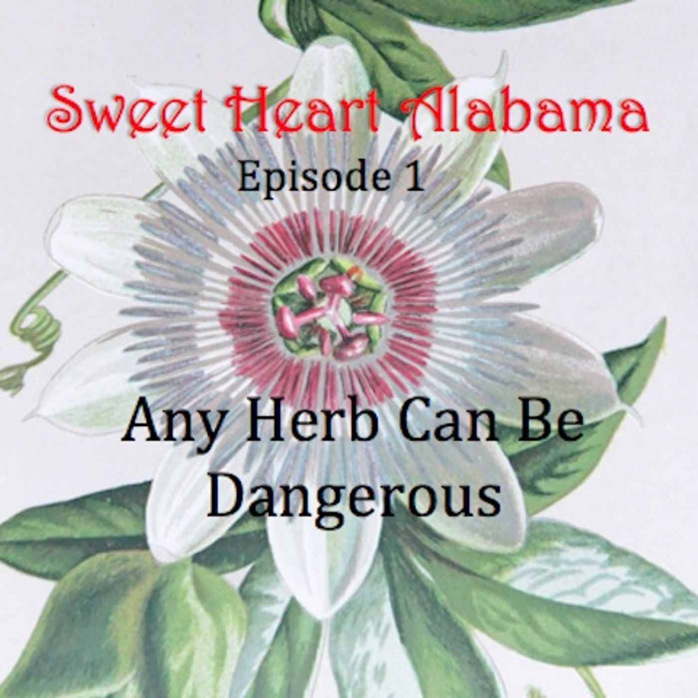 Sweet Heart Alabama - Episode 1 - Any Herb Can Be Dangerous