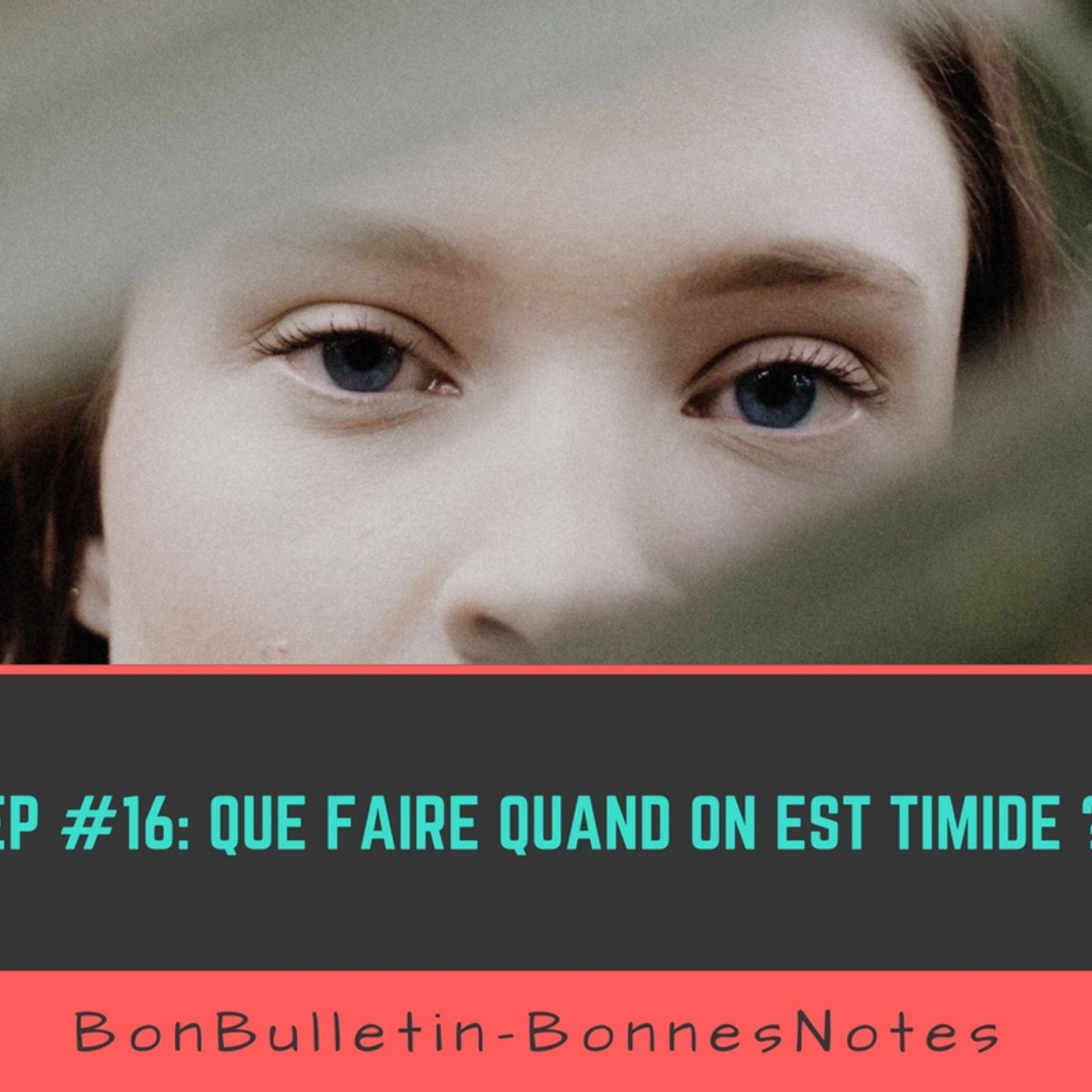 BonBulletin-BonnesNotes - Podcasts