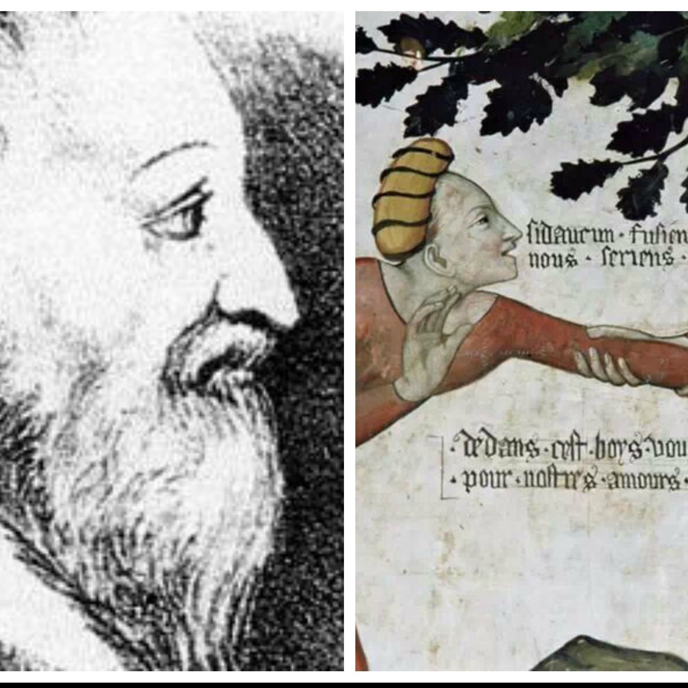 IL PRODE TOMMASO III DI SALUZZO