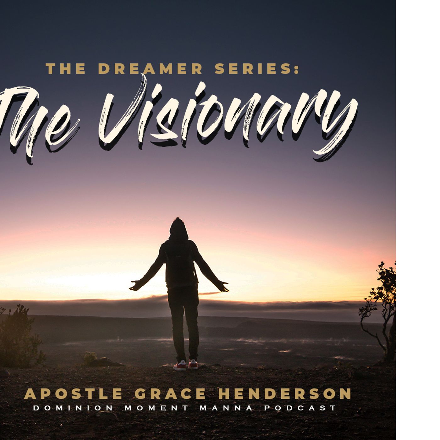 The Dreamer Series:  The Visionary Pt 1