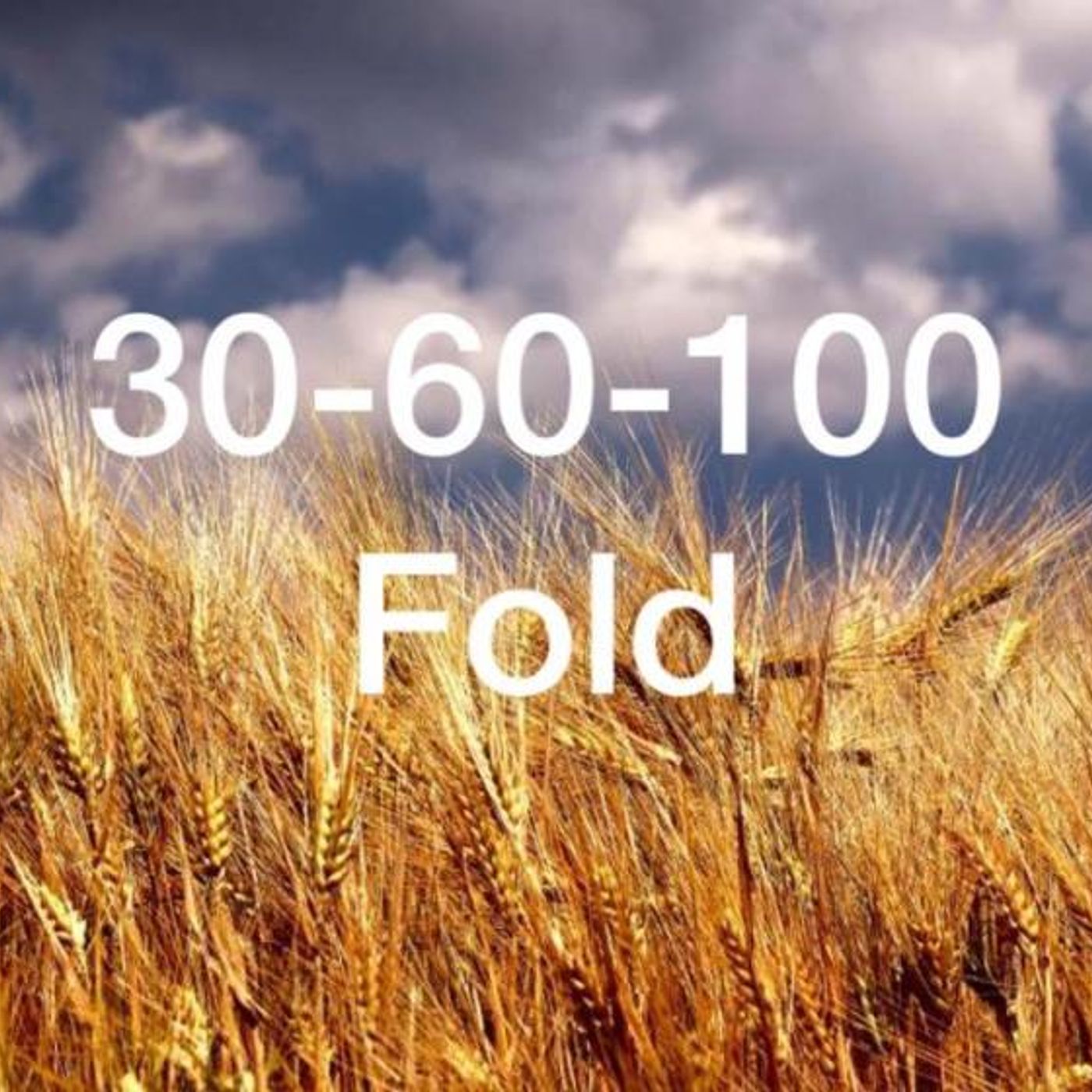 10 Fold or More!!!