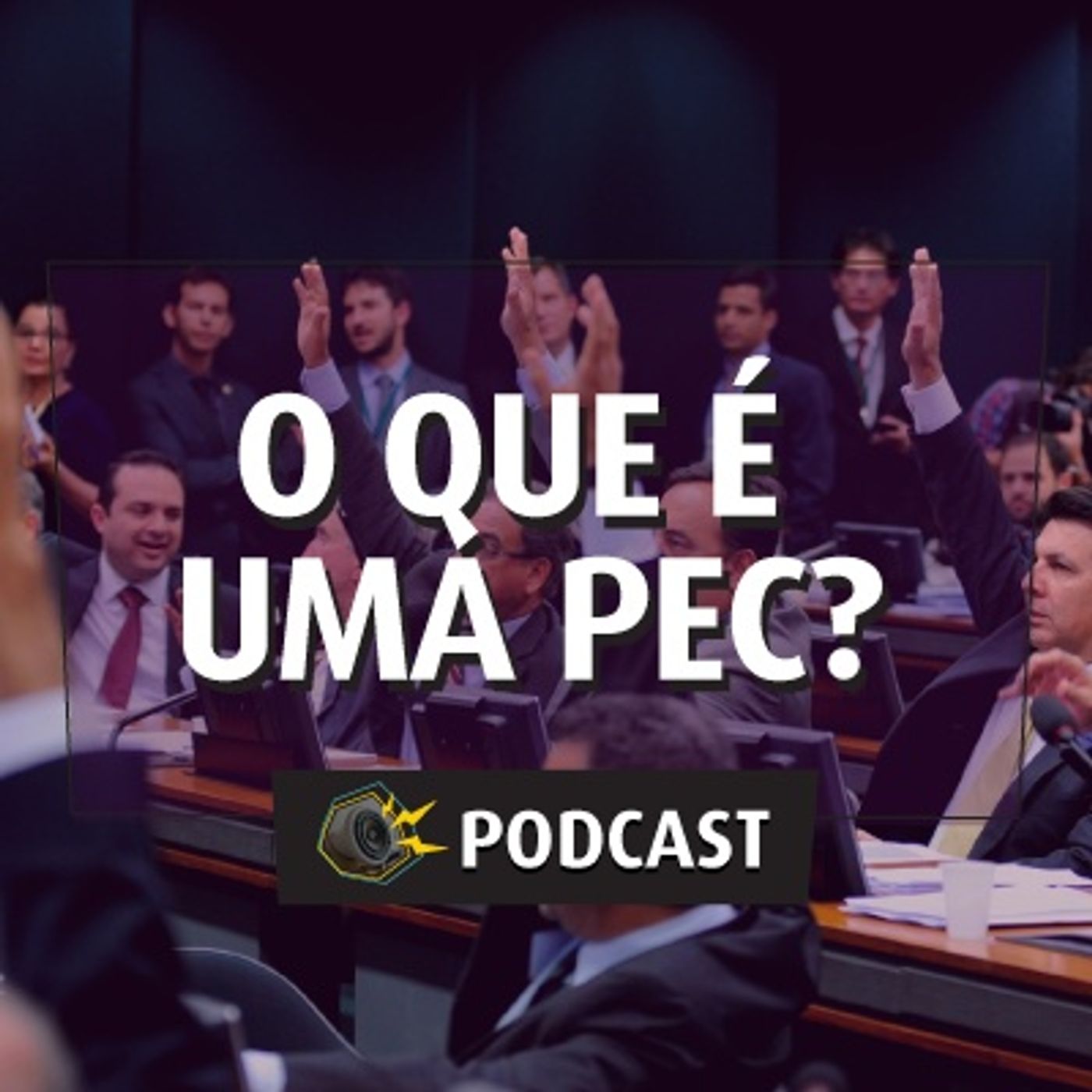 #025 - O que é uma PEC?