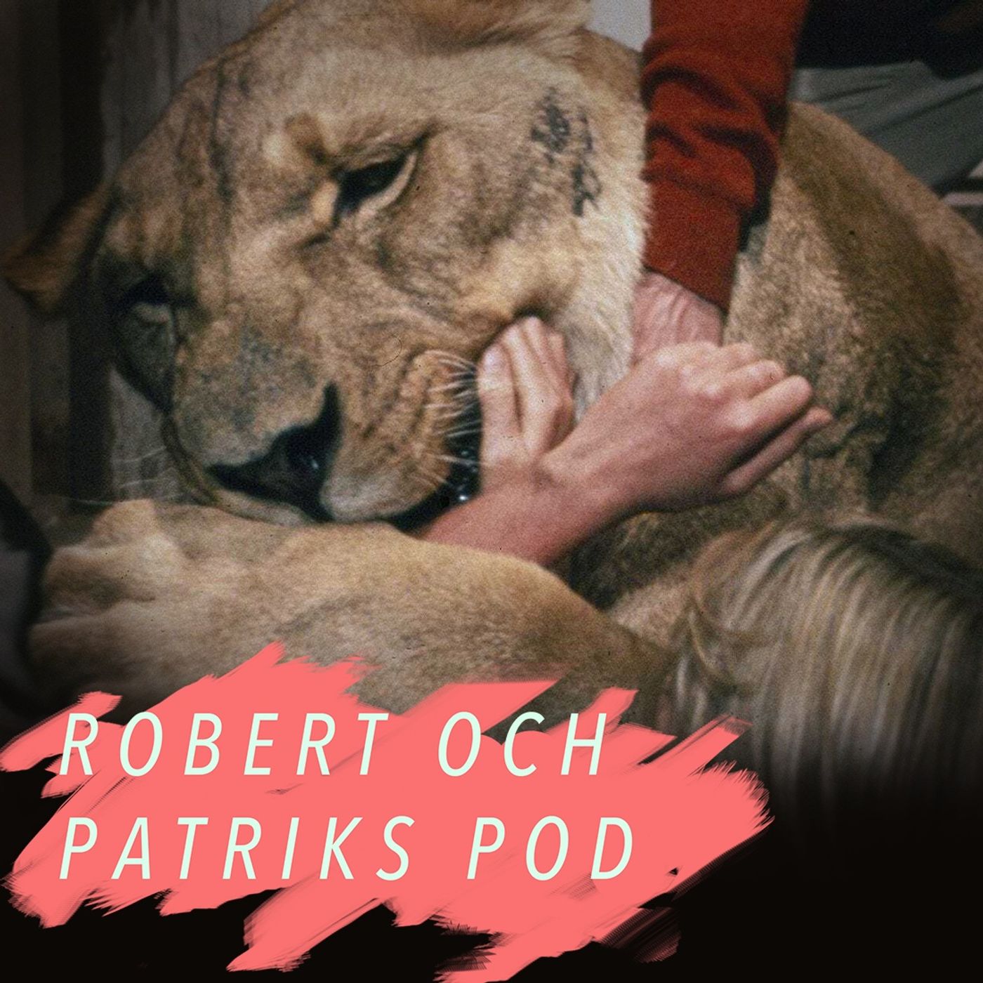 Robert och Patriks Pod