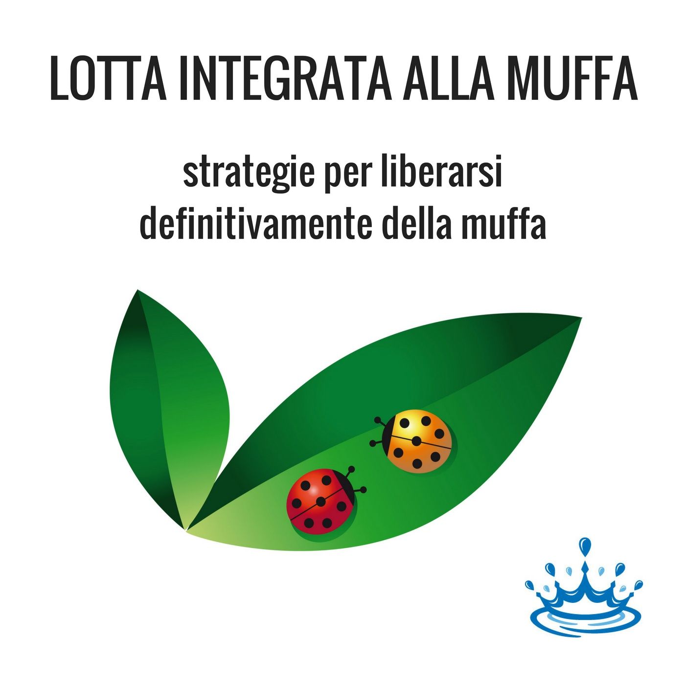 Ep.10 - tutta la verità sui dipintori rivelata da un pittore "pentito"