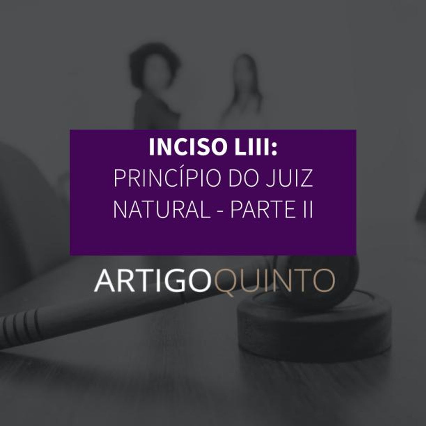 Inciso LIII: Princípio do juiz natural - Parte 2 - Artigo 5º