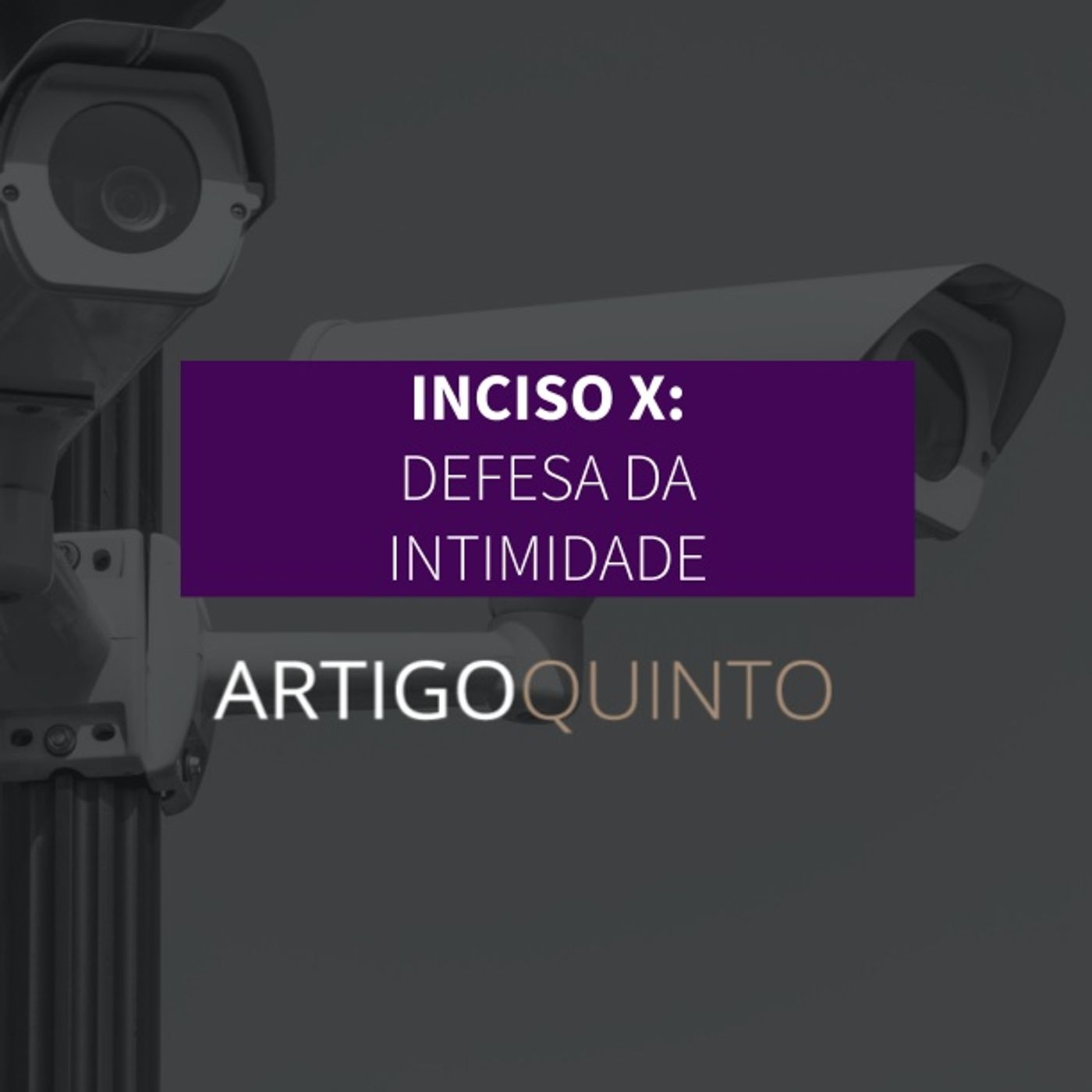 Inciso X: Defesa da Intimidade - Artigo 5º