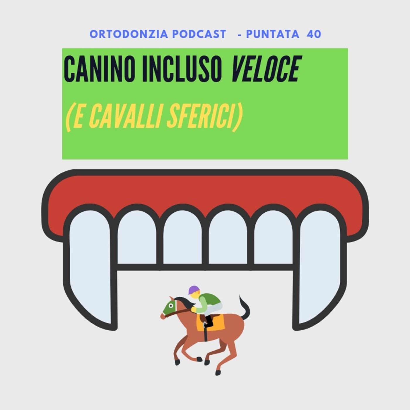 Canino incluso VELOCE ;-)
