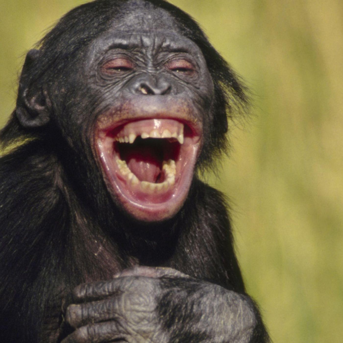 Sometimes you just have to laugh!