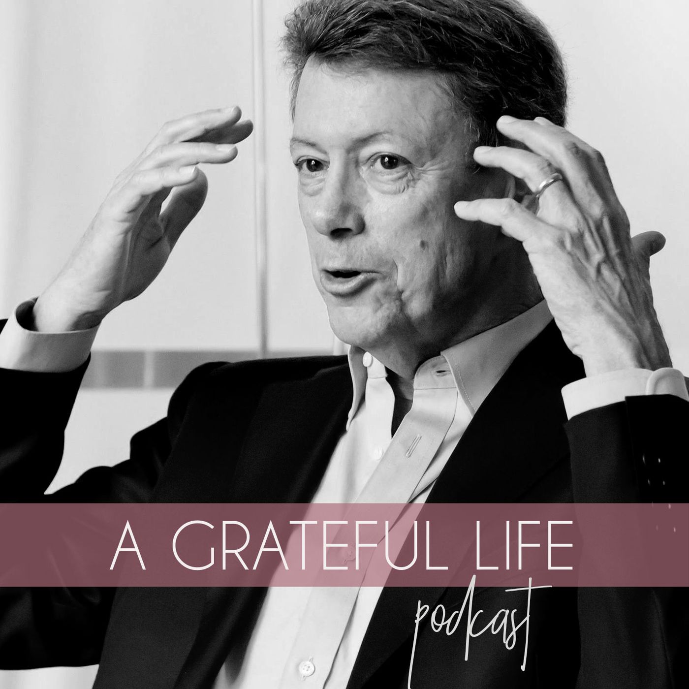 Rick Hanson - On Neuroscience, Self Compassion, Meditation and Gratitude
