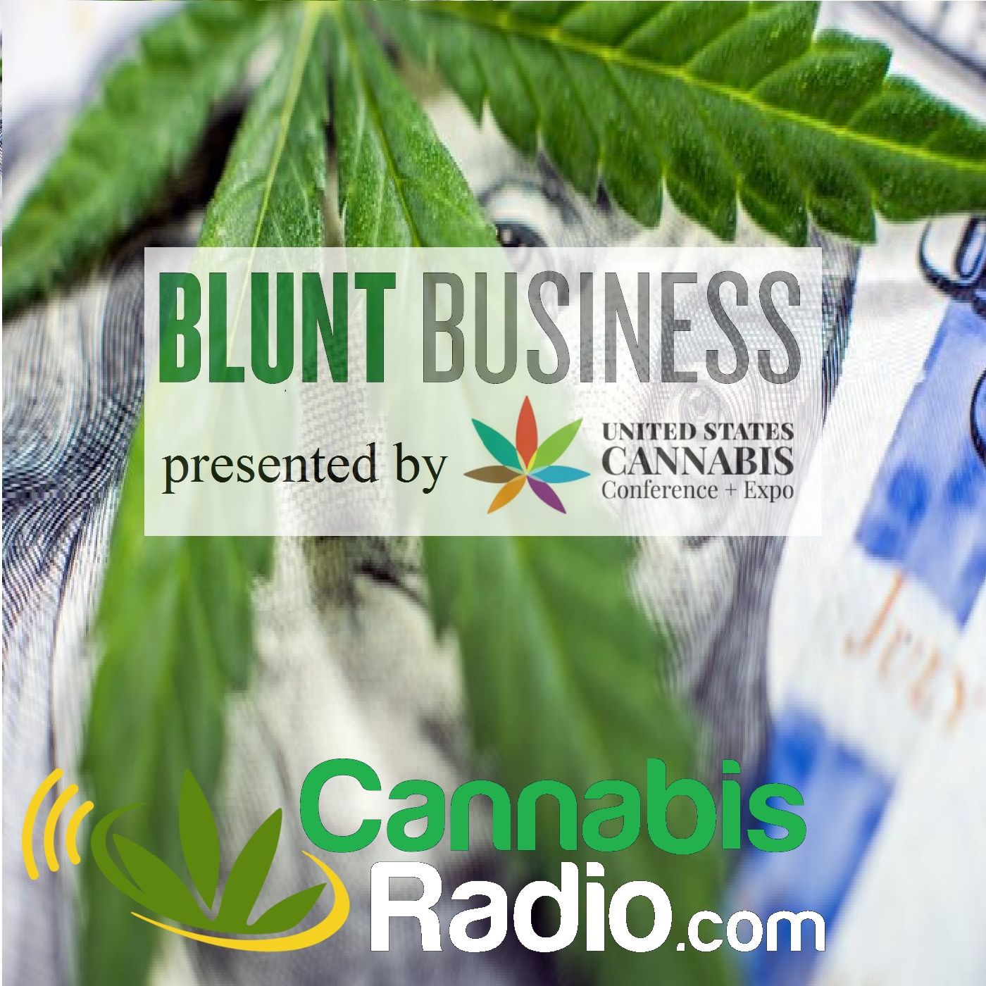 Environmentally Conscious Cannabis Enthusiasts
