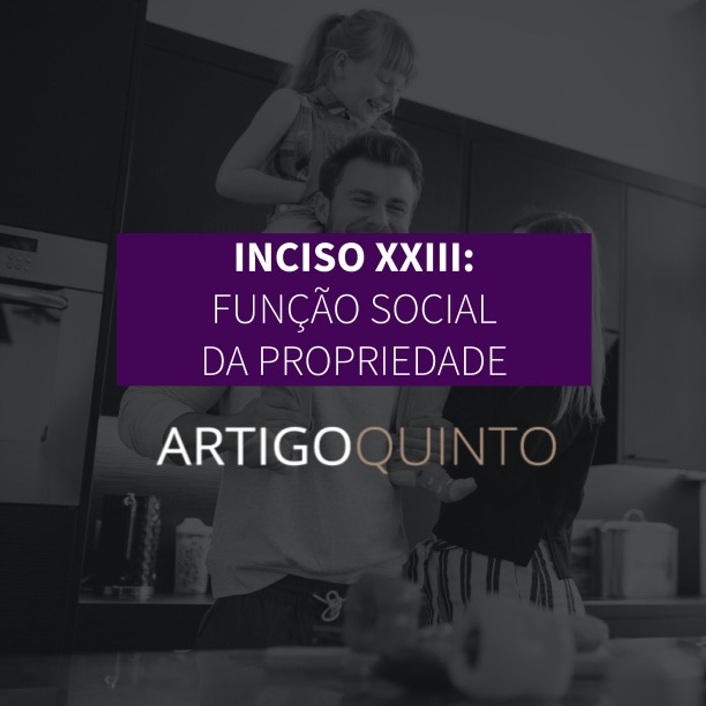 Inciso XXIII: Função Social da Propriedade - Artigo 5º