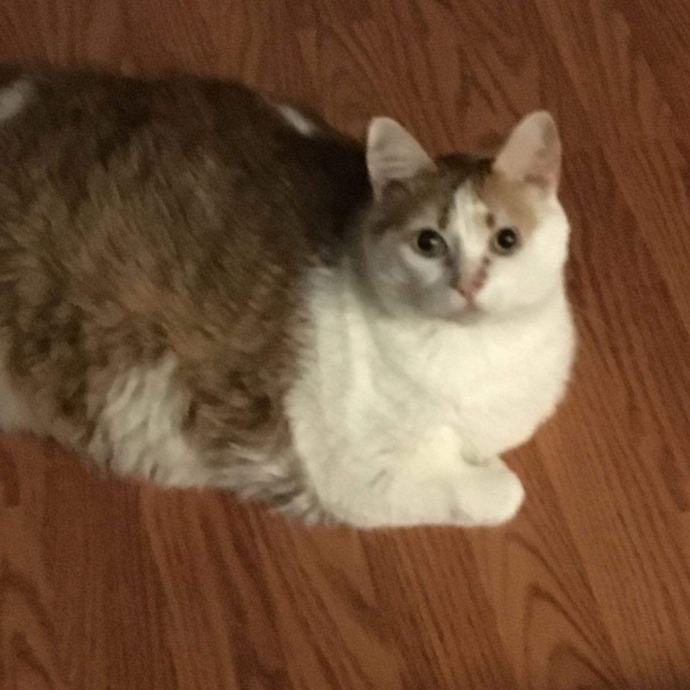 Episode 2 - Are You Sweaty Too? Episode 2 - Are You Sweaty Too?