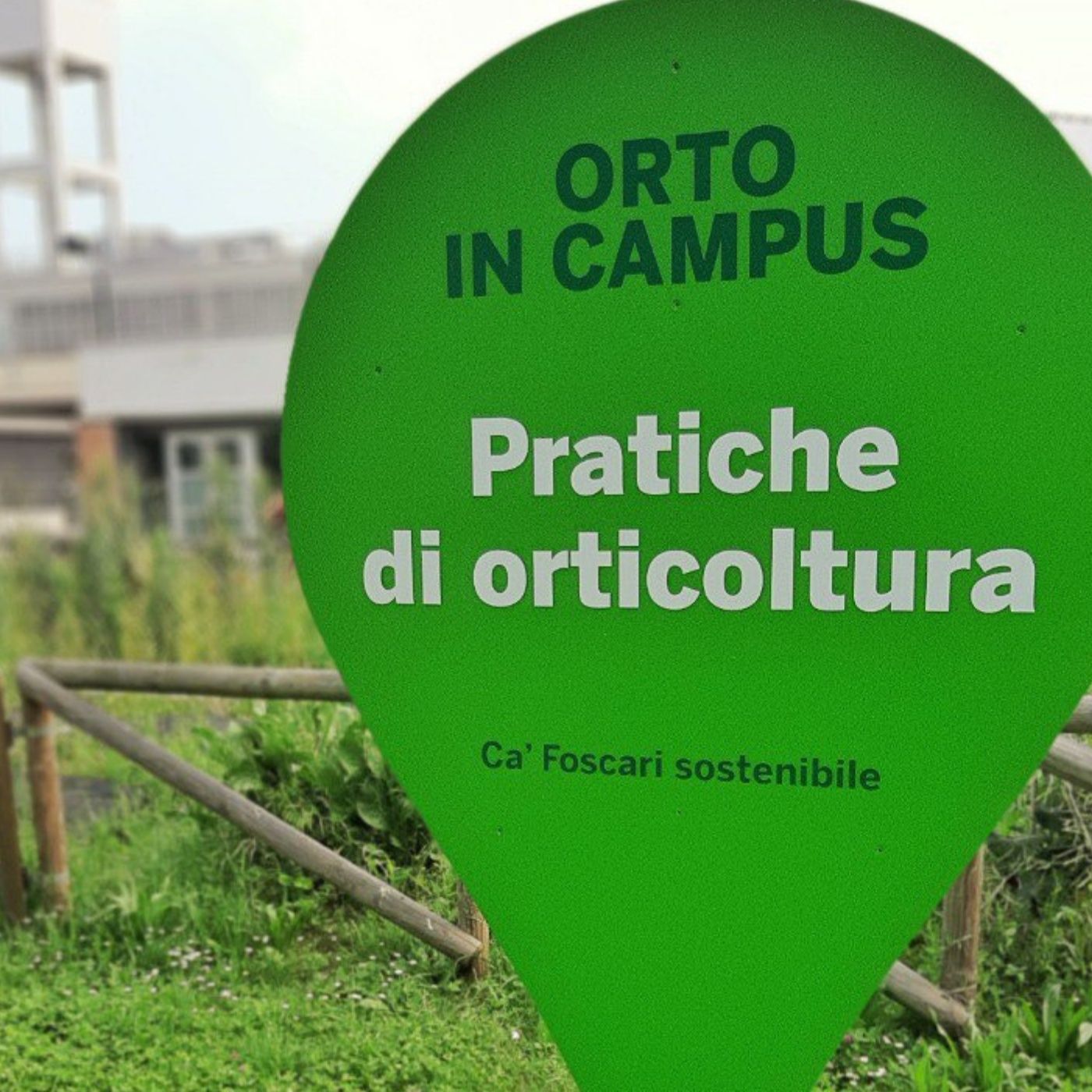 L'Orto in campus di Ca' Foscari