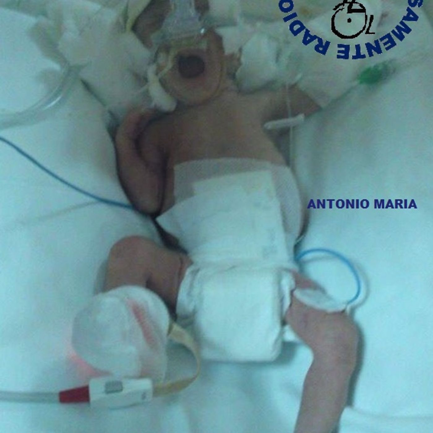 loredana berardi rosita terranova 3