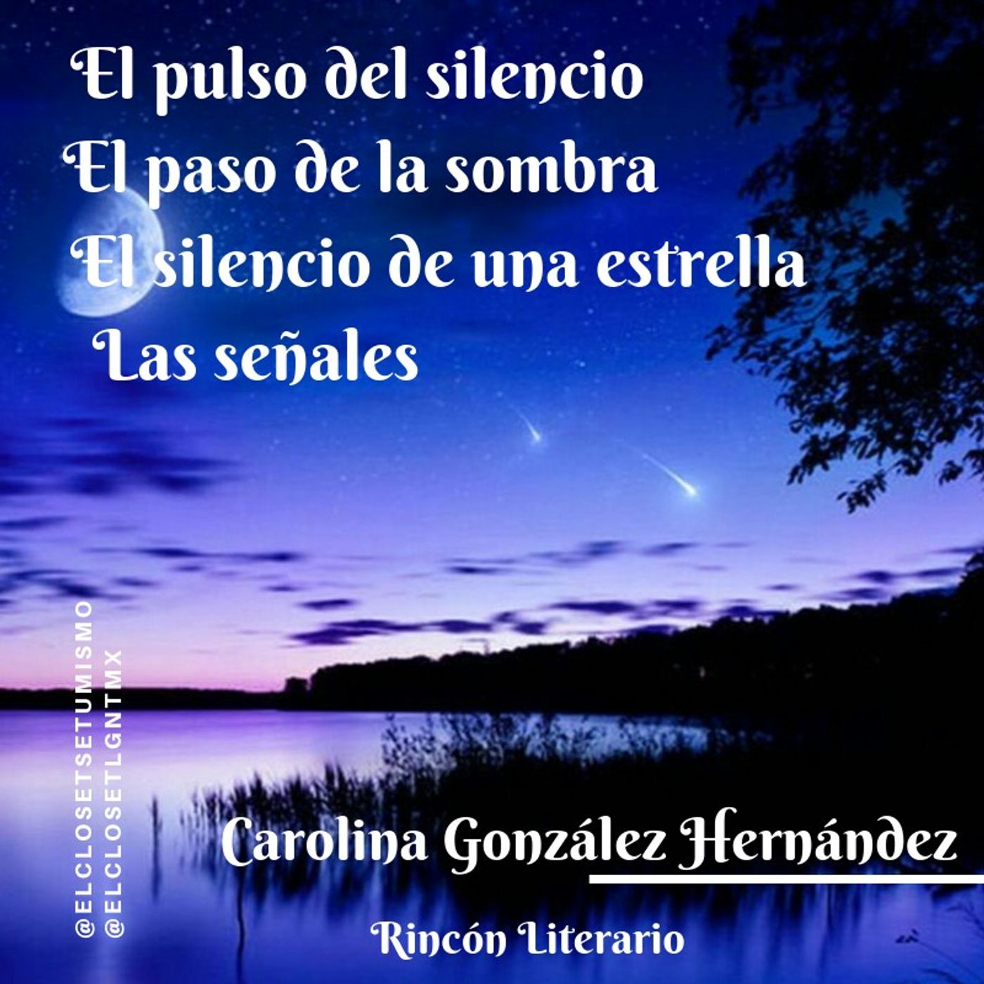 Rincón literario: El pulso del silencio