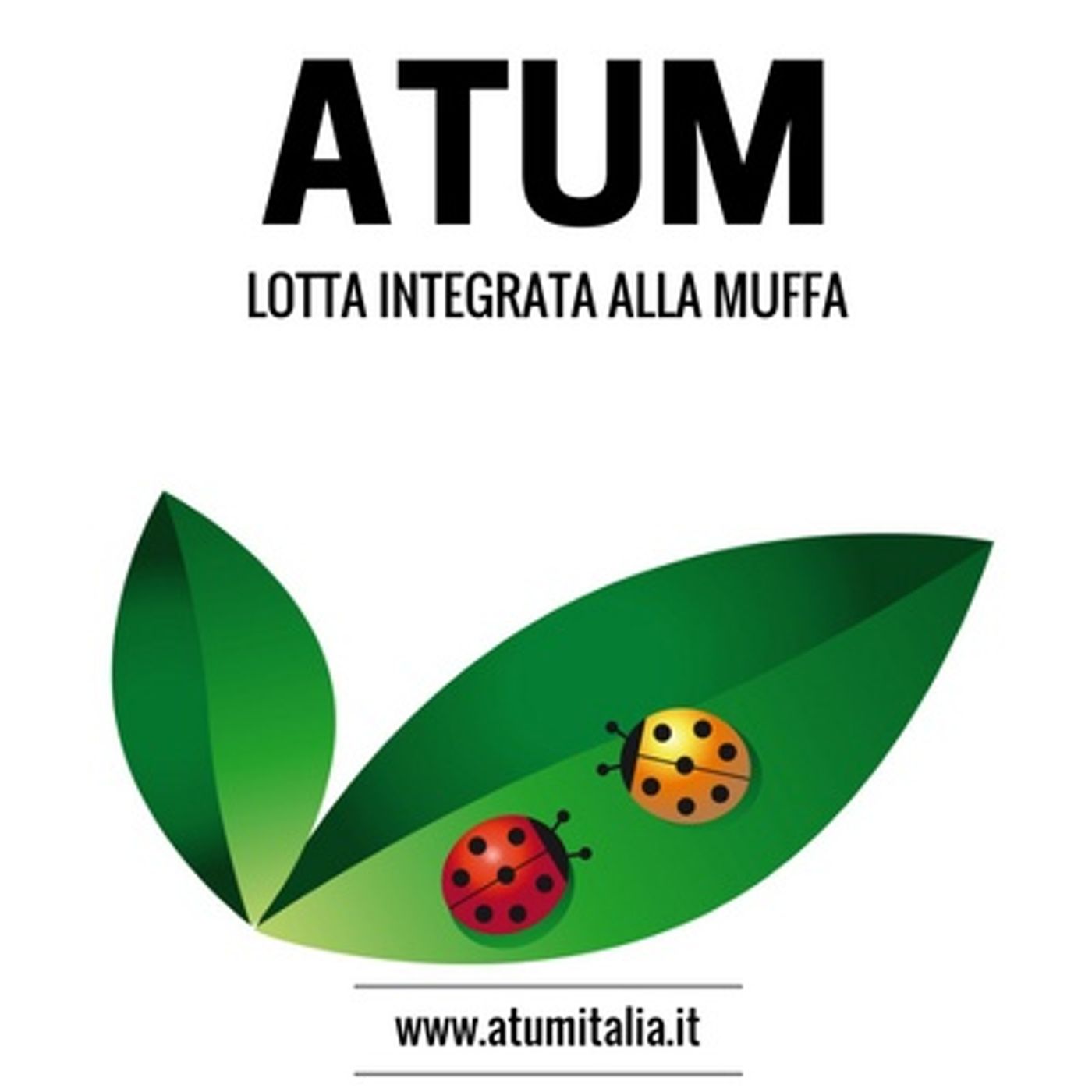 Ep.8 - Domande degli ascoltatori