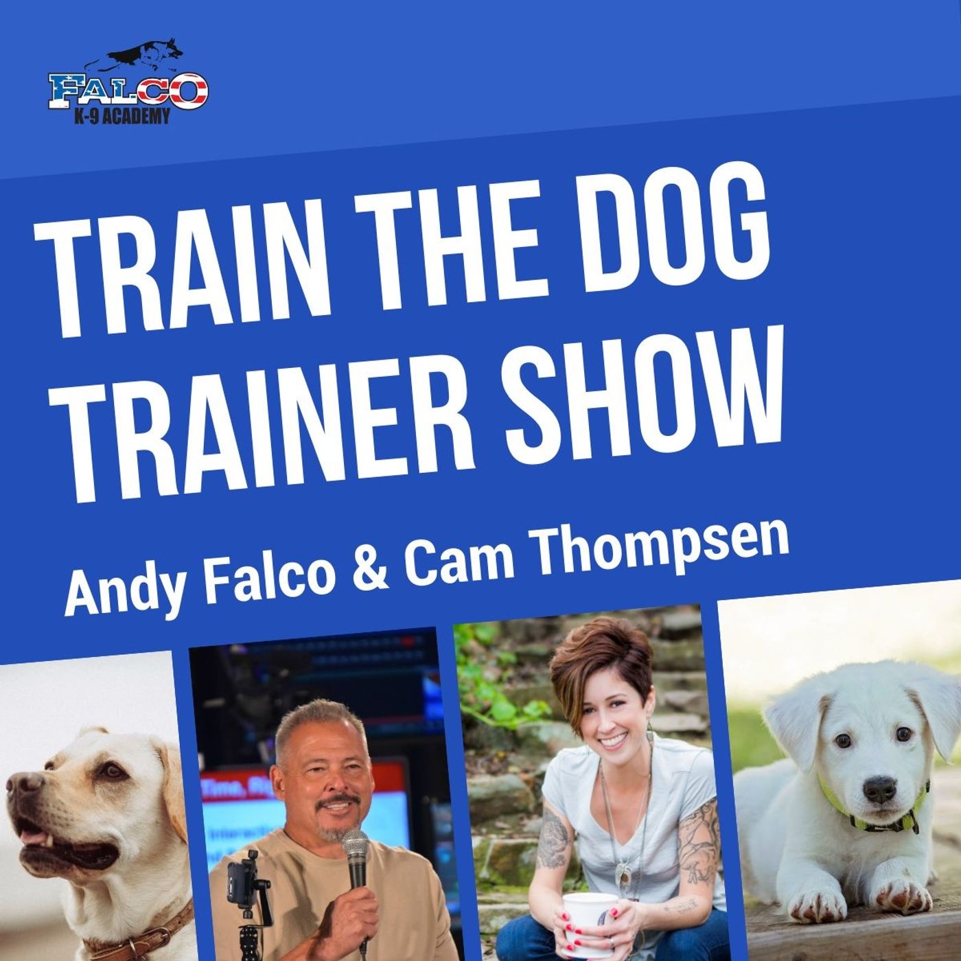 Falco K9\'s Dog Training Show