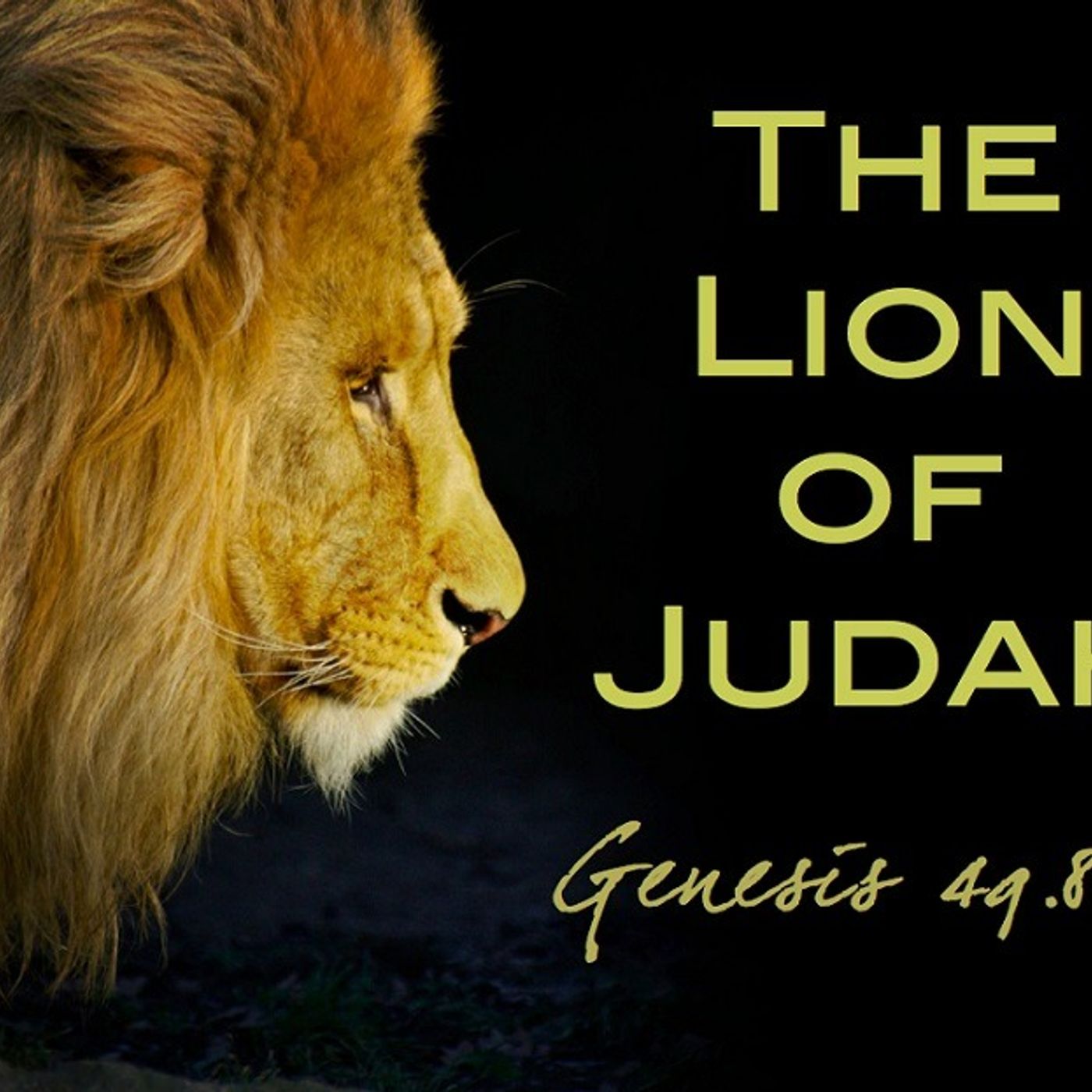 Yah calling Israel