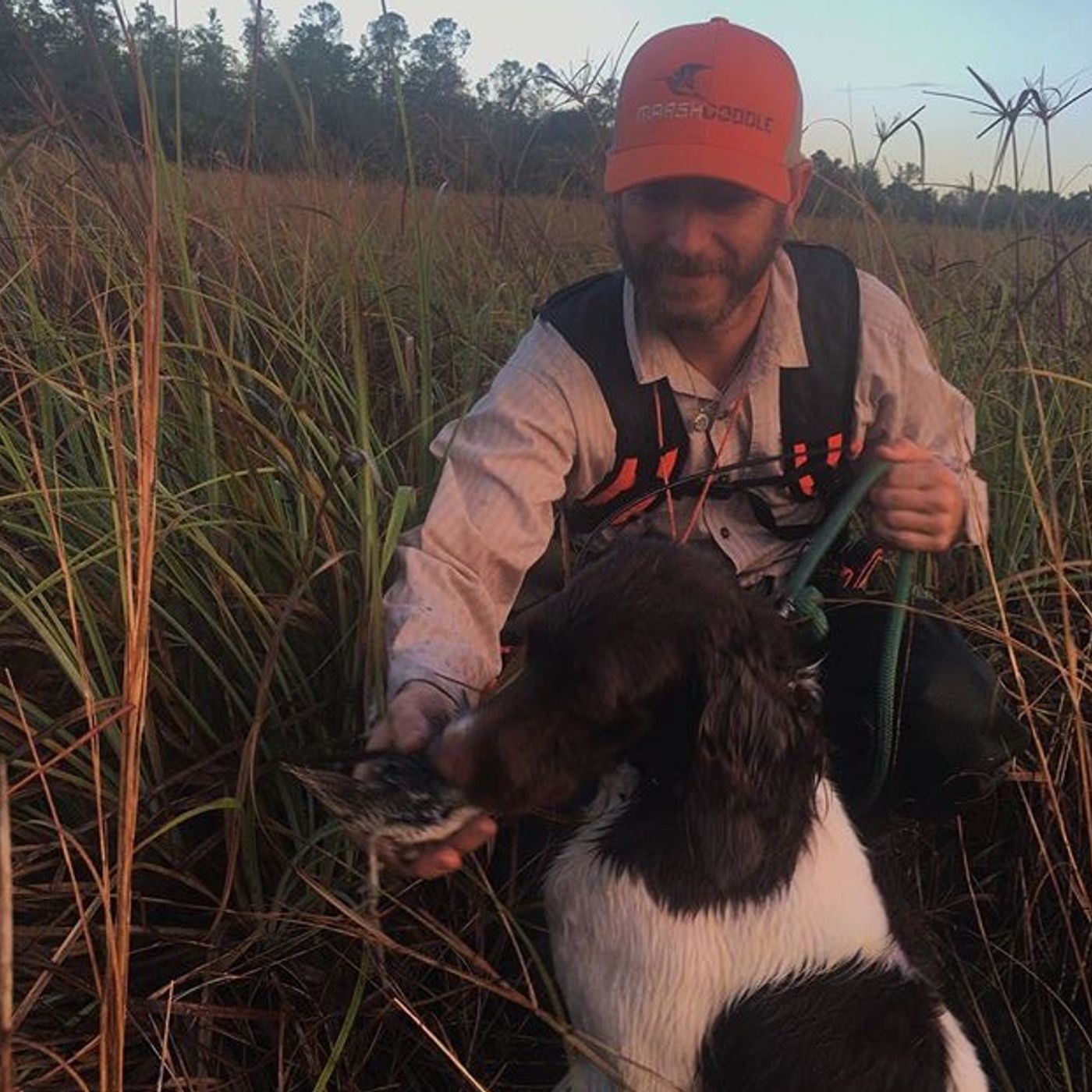 SRG.003 Scott of Marshdoodle (Florida Upland Hunting)!