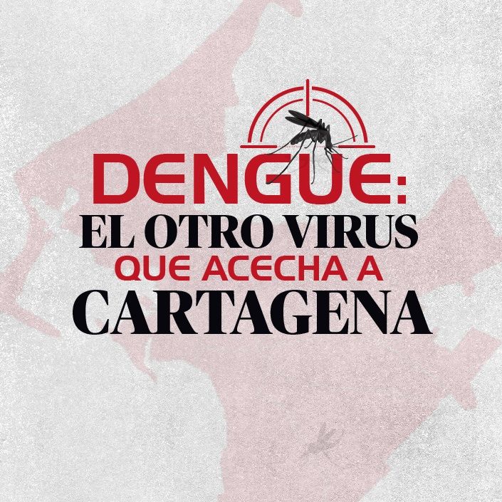 La Historia Del Dengue La Fiebre Quebrantahuesos