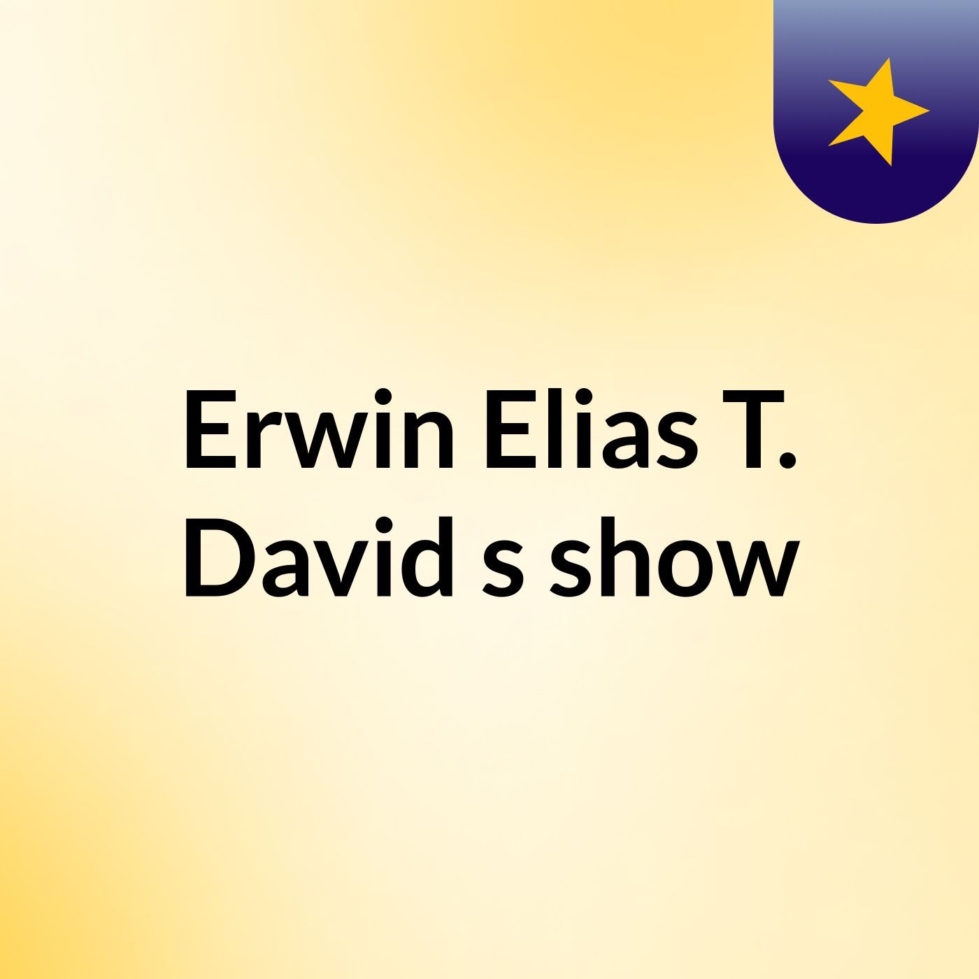 Erwin Elias T. David's show