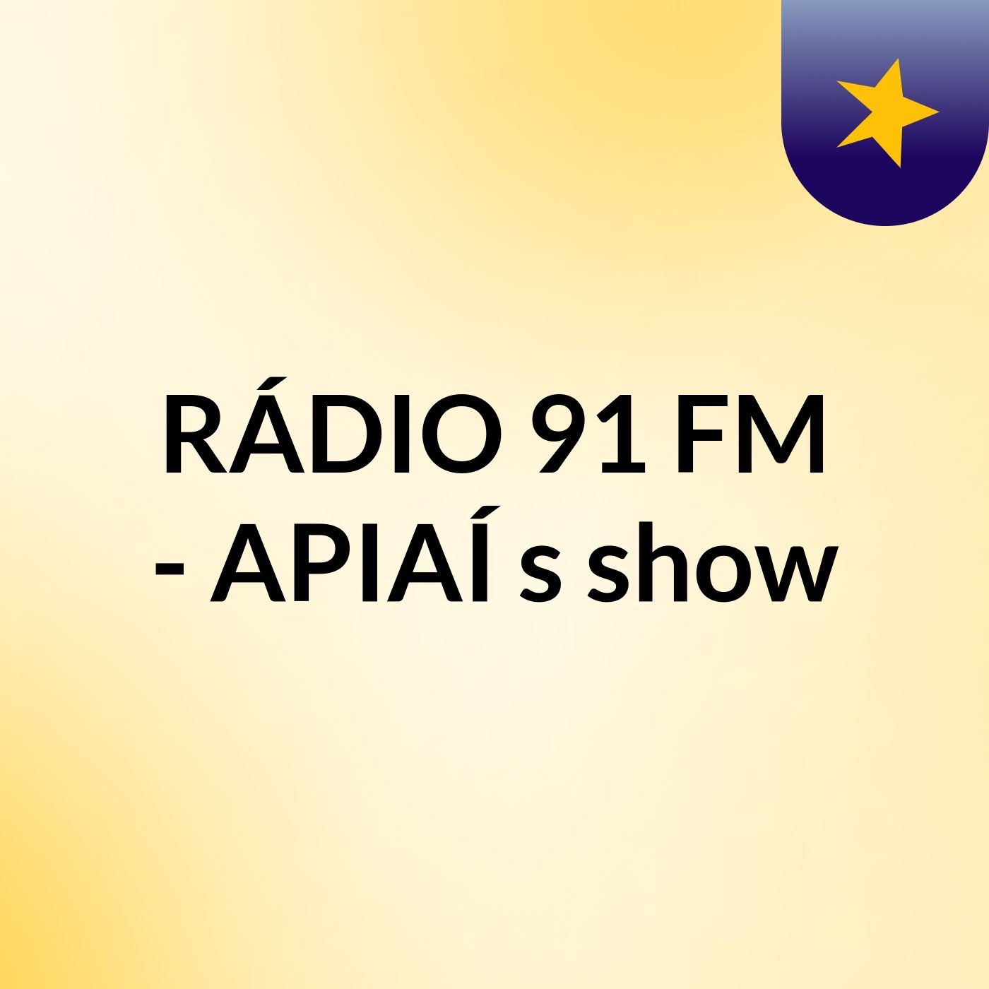 RÁDIO 91 FM - APIAÍ's show